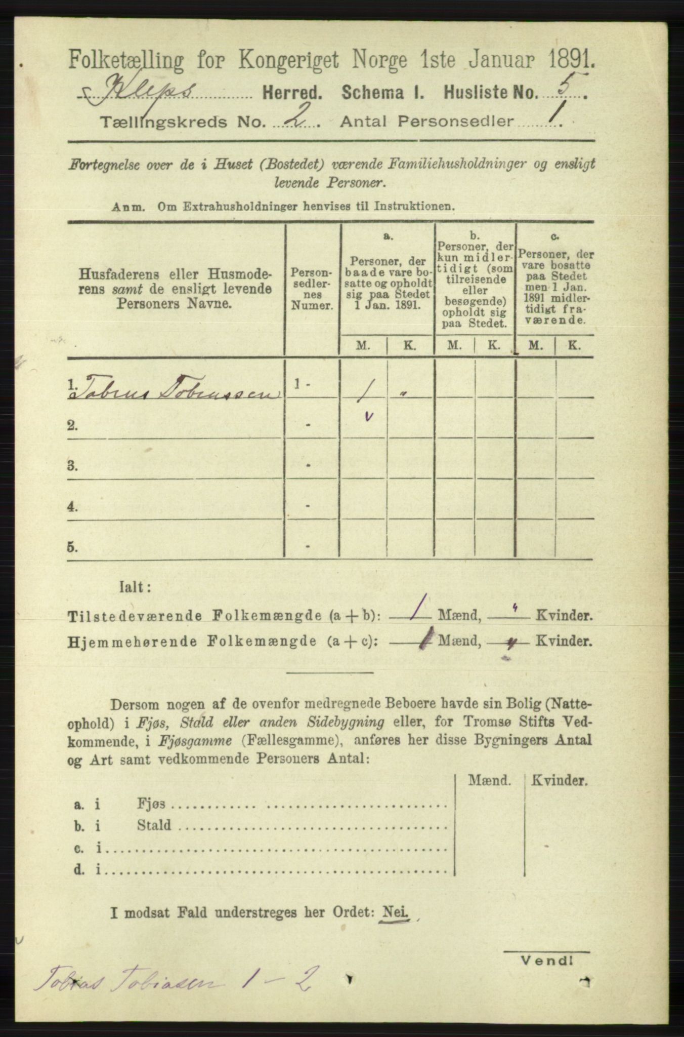 RA, 1891 census for 1120 Klepp, 1891, p. 313