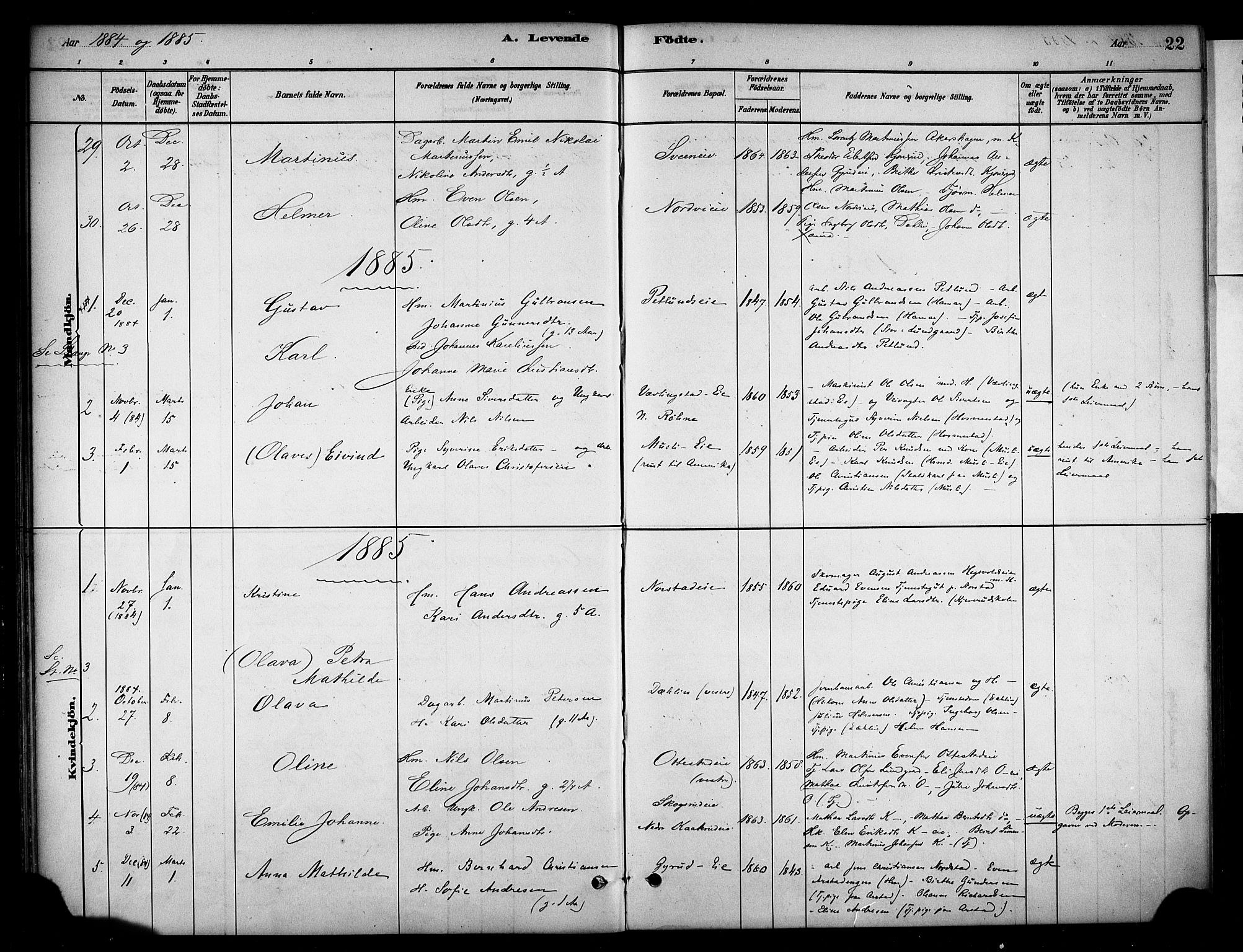 Stange prestekontor, AV/SAH-PREST-002/K/L0019: Parish register (official) no. 19, 1880-1891, p. 22