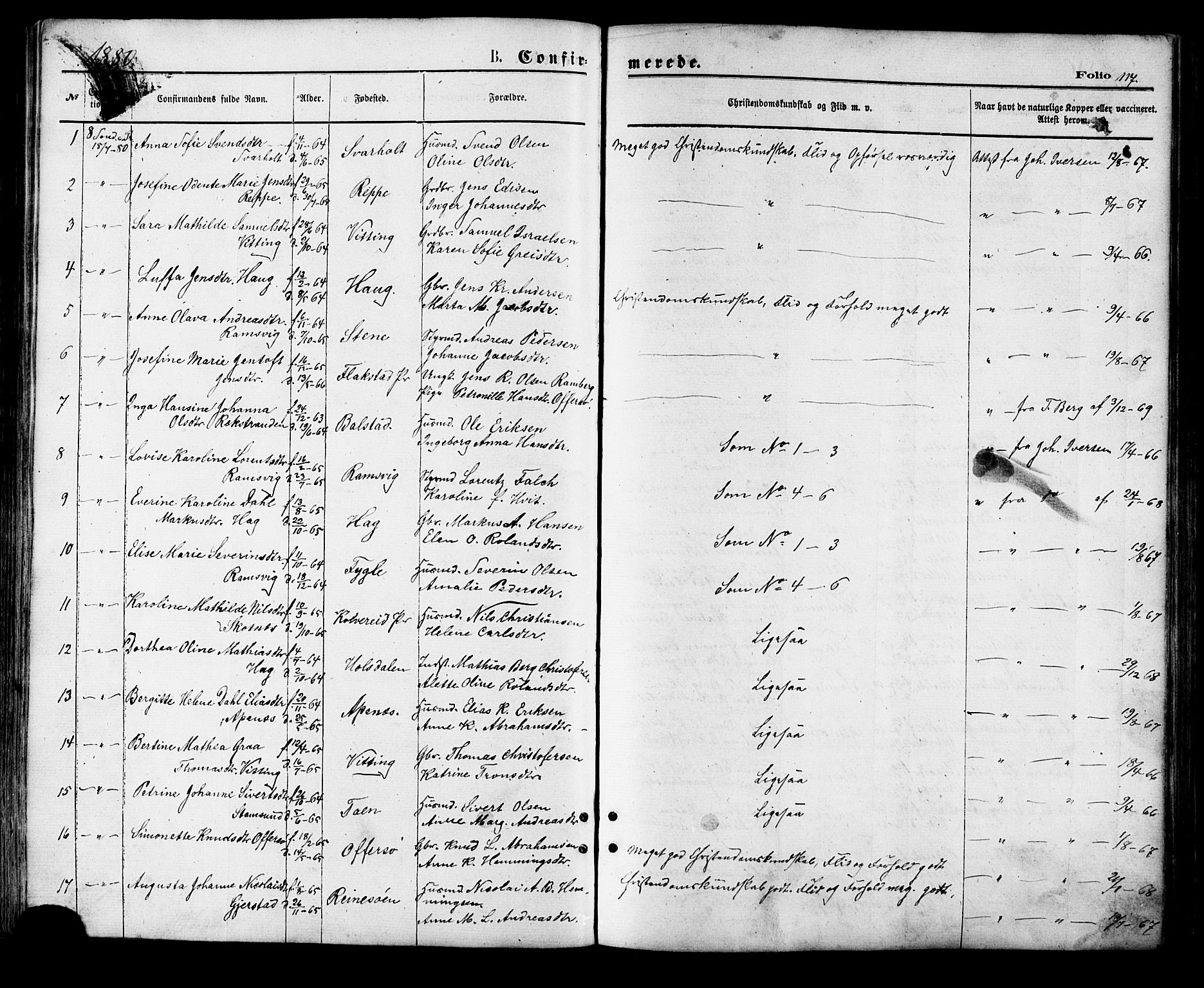 Ministerialprotokoller, klokkerbøker og fødselsregistre - Nordland, SAT/A-1459/881/L1166: Parish register (copy) no. 881C03, 1876-1885, p. 117