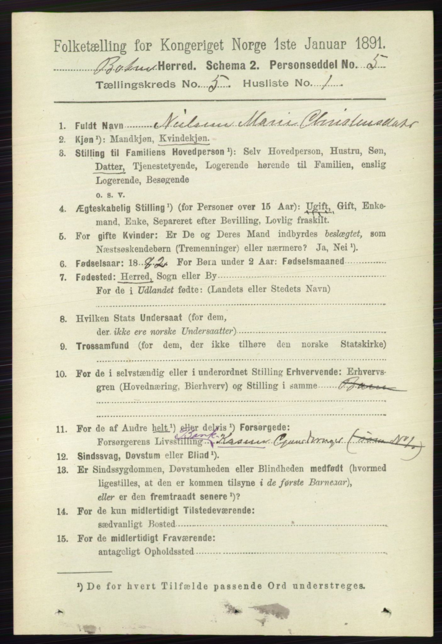 RA, 1891 census for 0715 Botne, 1891, p. 1953