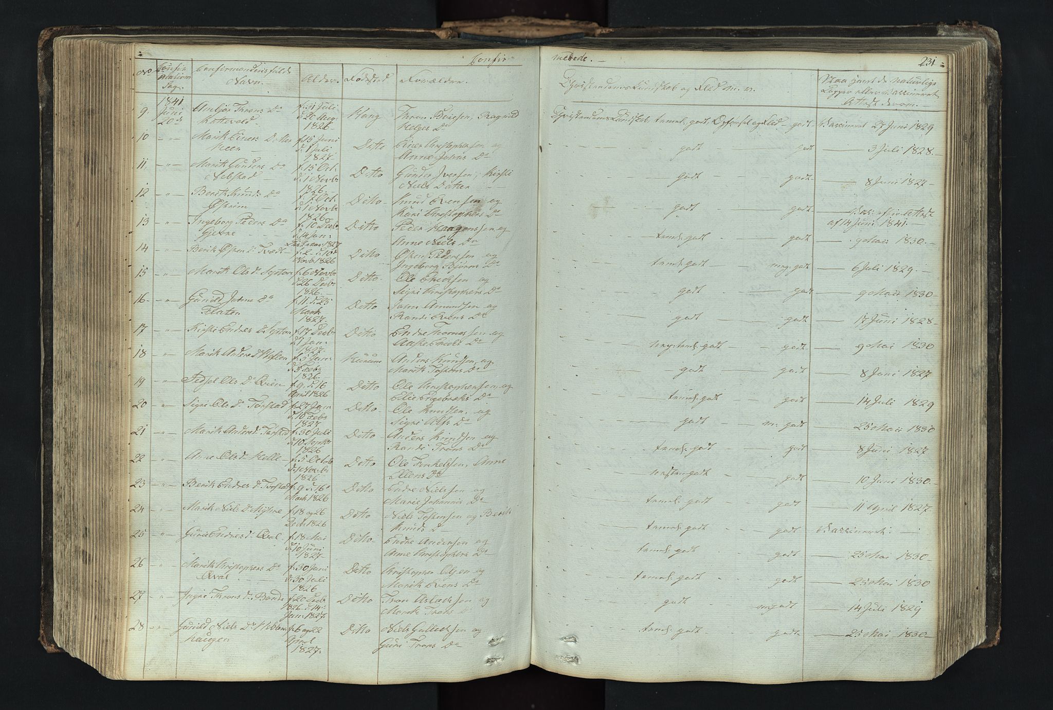 Vang prestekontor, Valdres, SAH/PREST-140/H/Hb/L0004: Parish register (copy) no. 4, 1835-1892, p. 231