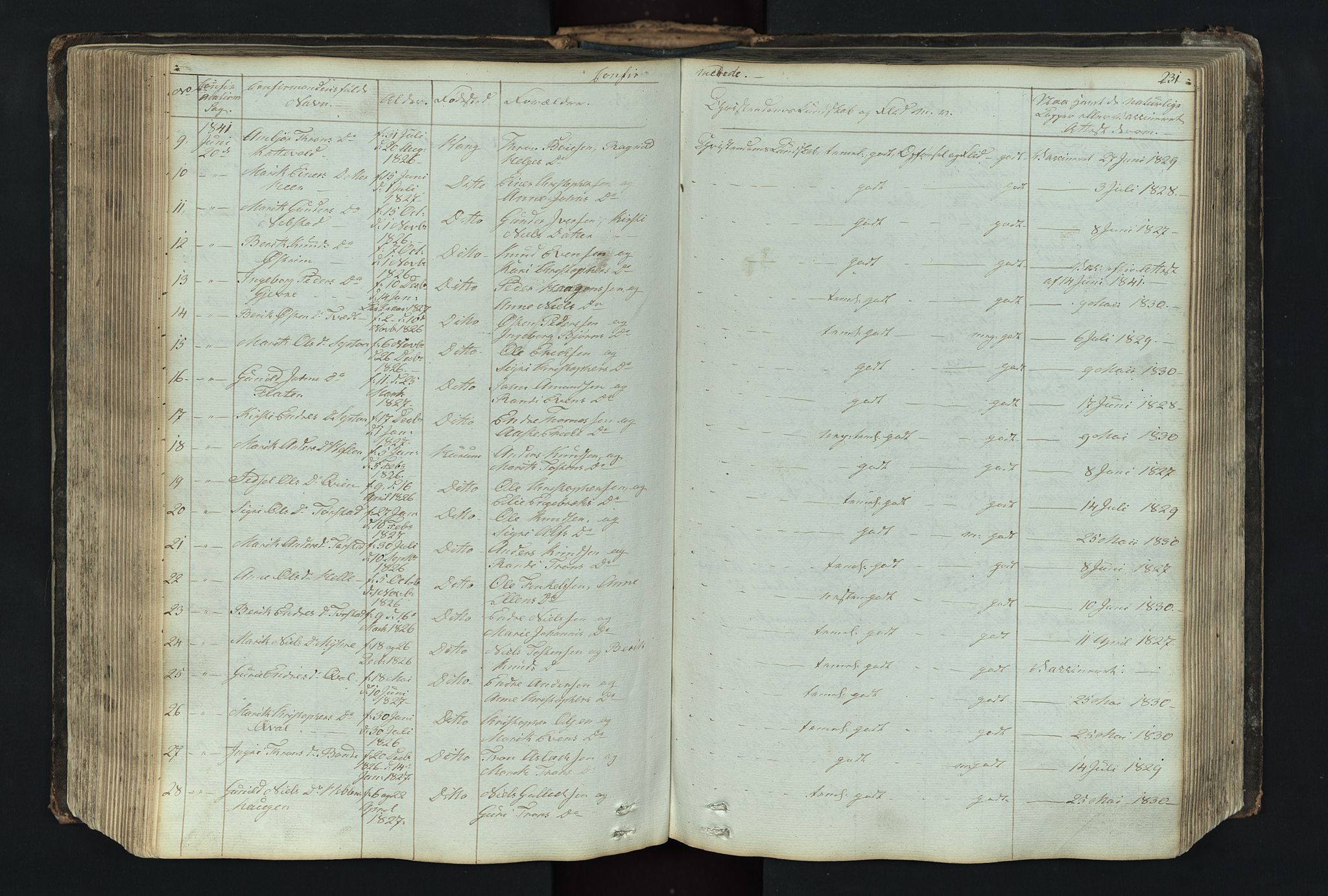 Vang prestekontor, Valdres, AV/SAH-PREST-140/H/Hb/L0004: Parish register (copy) no. 4, 1835-1892, p. 231