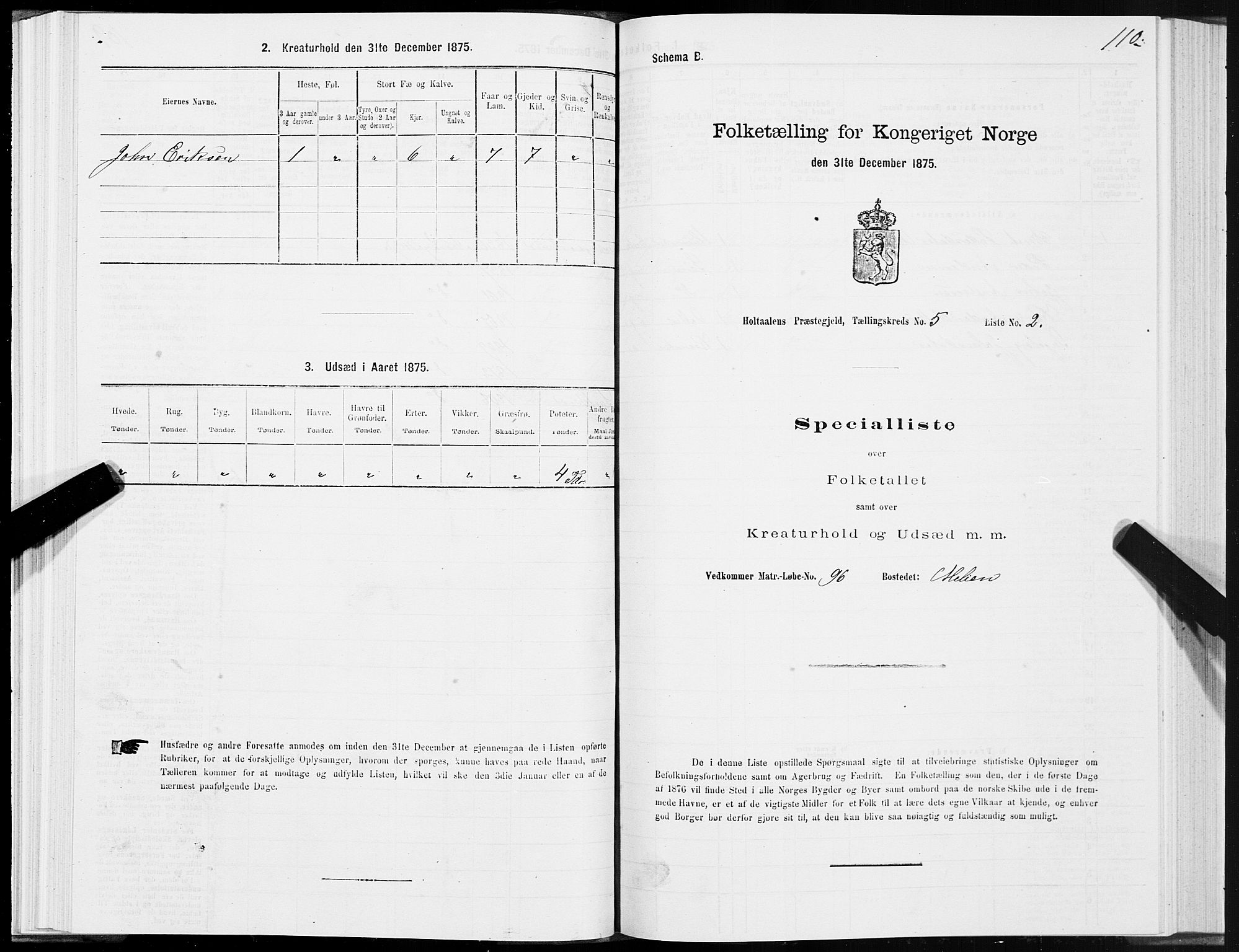 SAT, 1875 census for 1645P Haltdalen, 1875, p. 5110