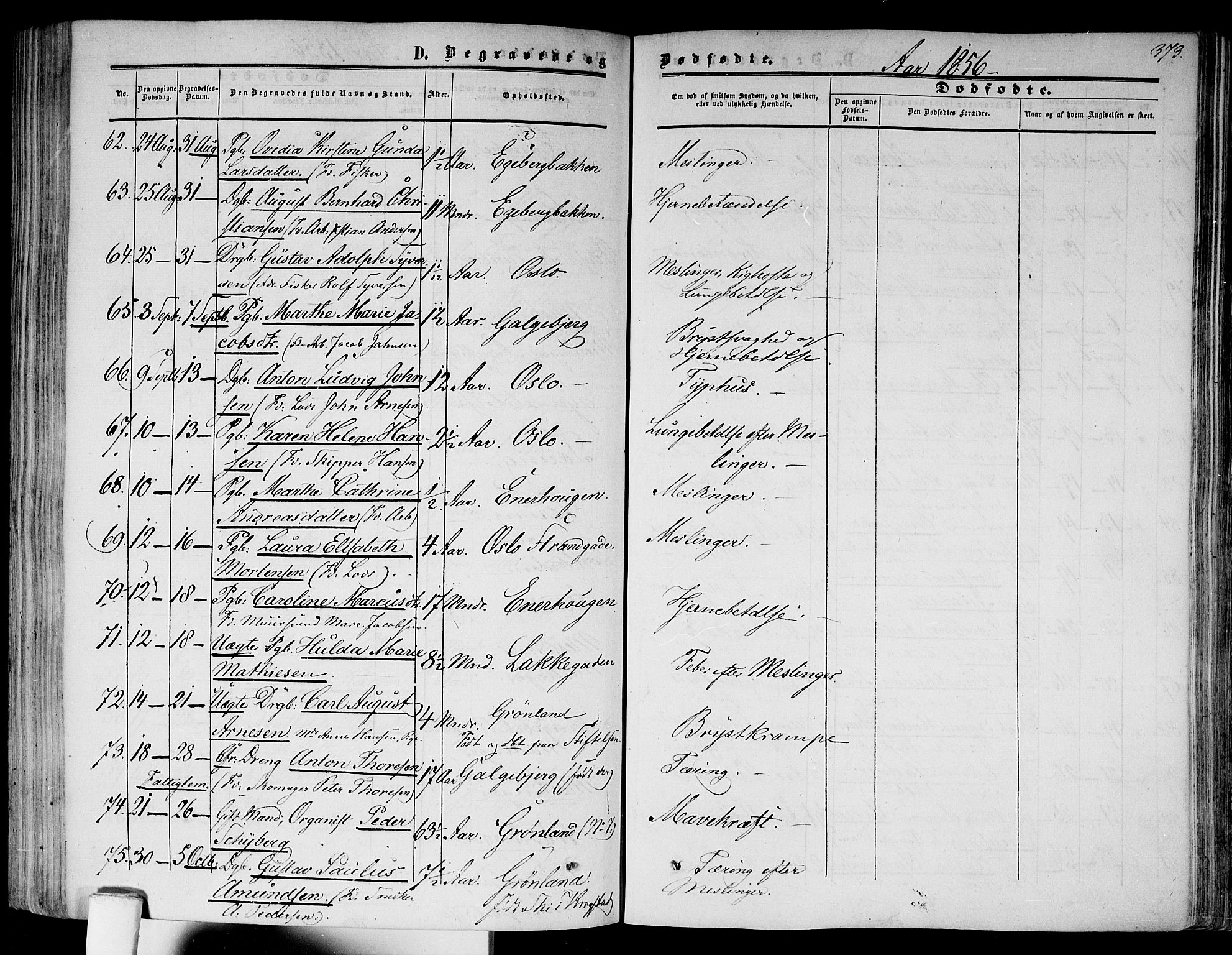 Gamlebyen prestekontor Kirkebøker, AV/SAO-A-10884/F/Fa/L0004: Parish register (official) no. 4, 1850-1857, p. 373