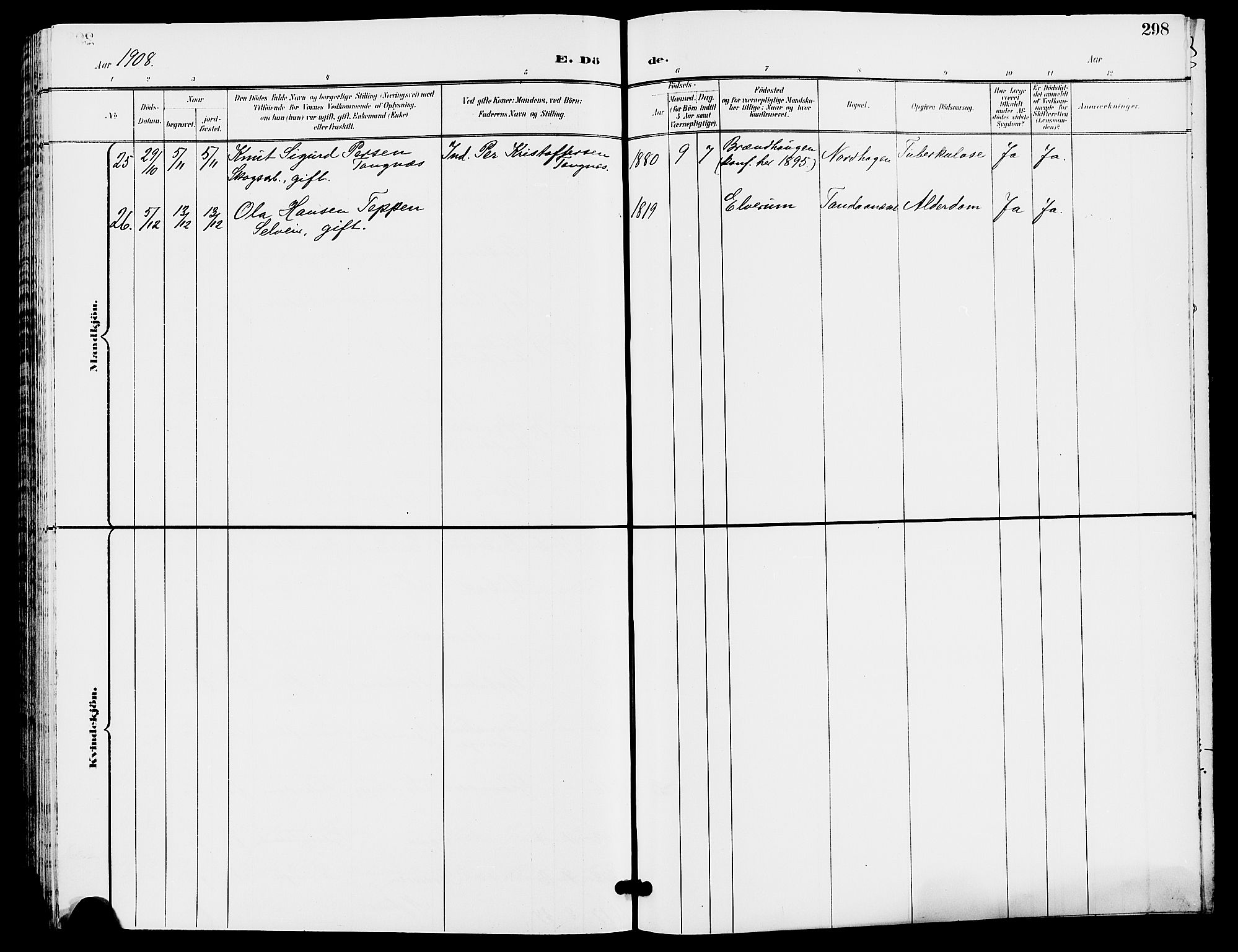 Trysil prestekontor, AV/SAH-PREST-046/H/Ha/Hab/L0006: Parish register (copy) no. 6, 1896-1912, p. 298