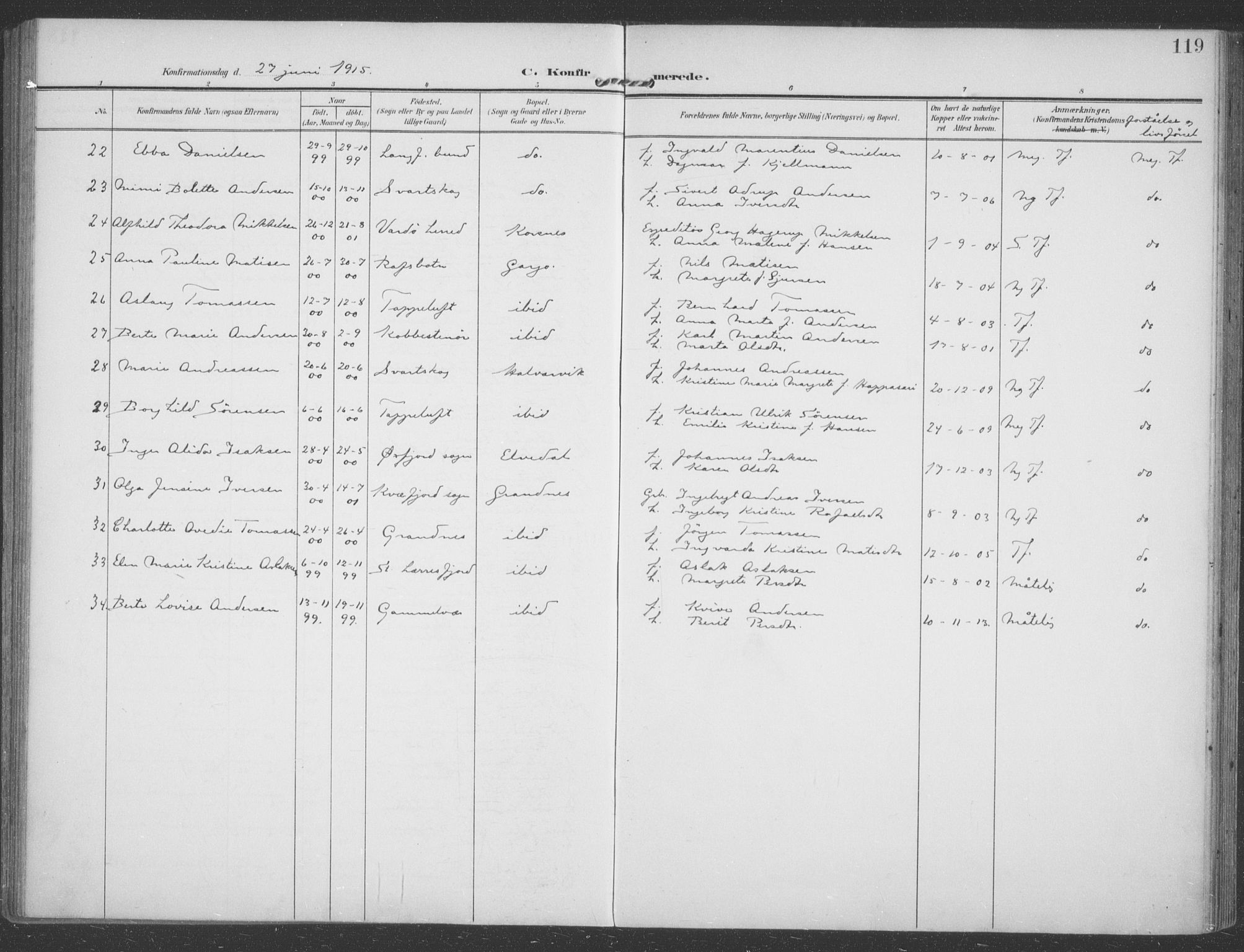 Talvik sokneprestkontor, SATØ/S-1337/H/Ha/L0017kirke: Parish register (official) no. 17, 1906-1915, p. 119