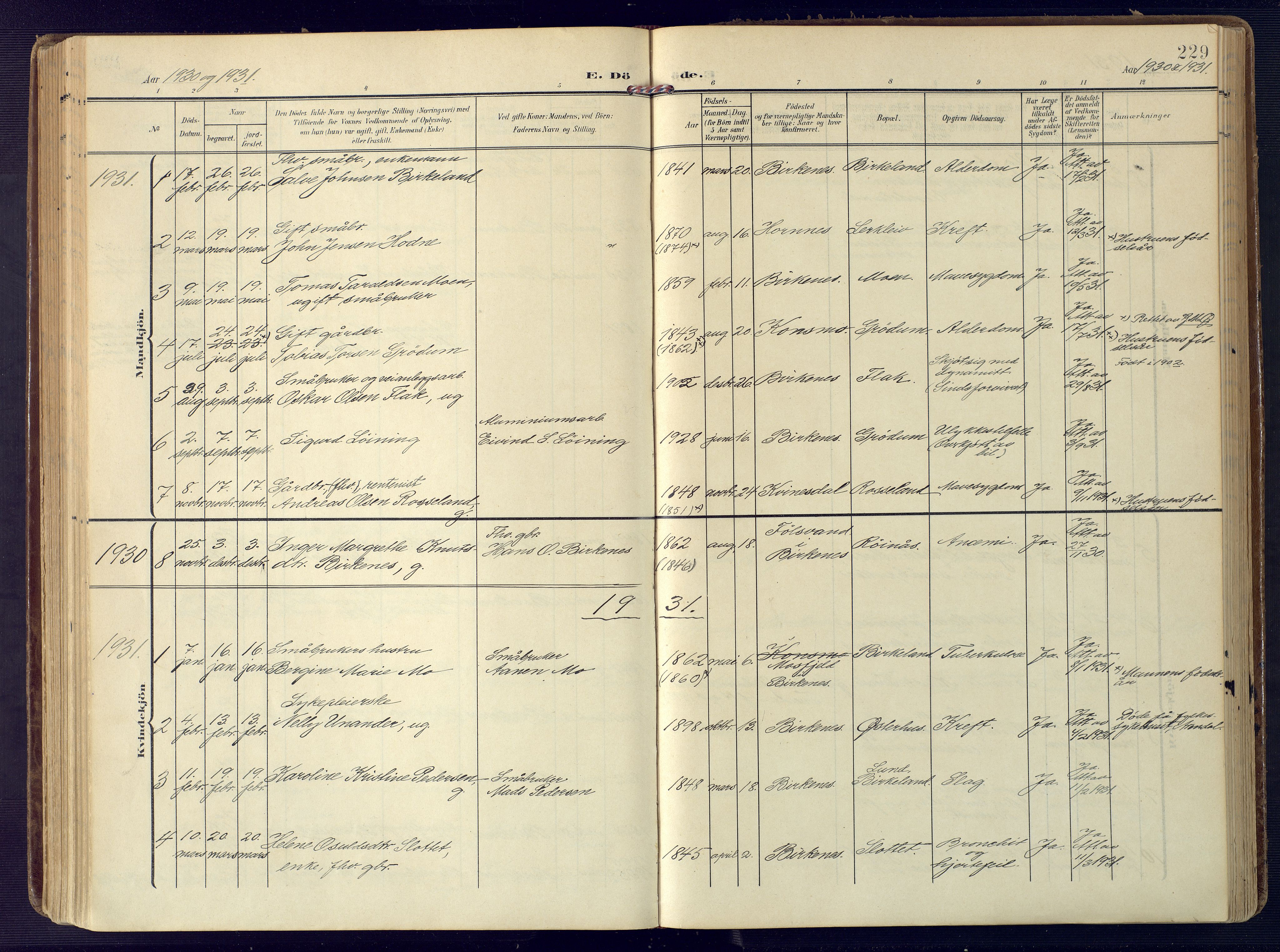 Birkenes sokneprestkontor, SAK/1111-0004/F/Fa/L0006: Parish register (official) no. A 6, 1908-1932, p. 229