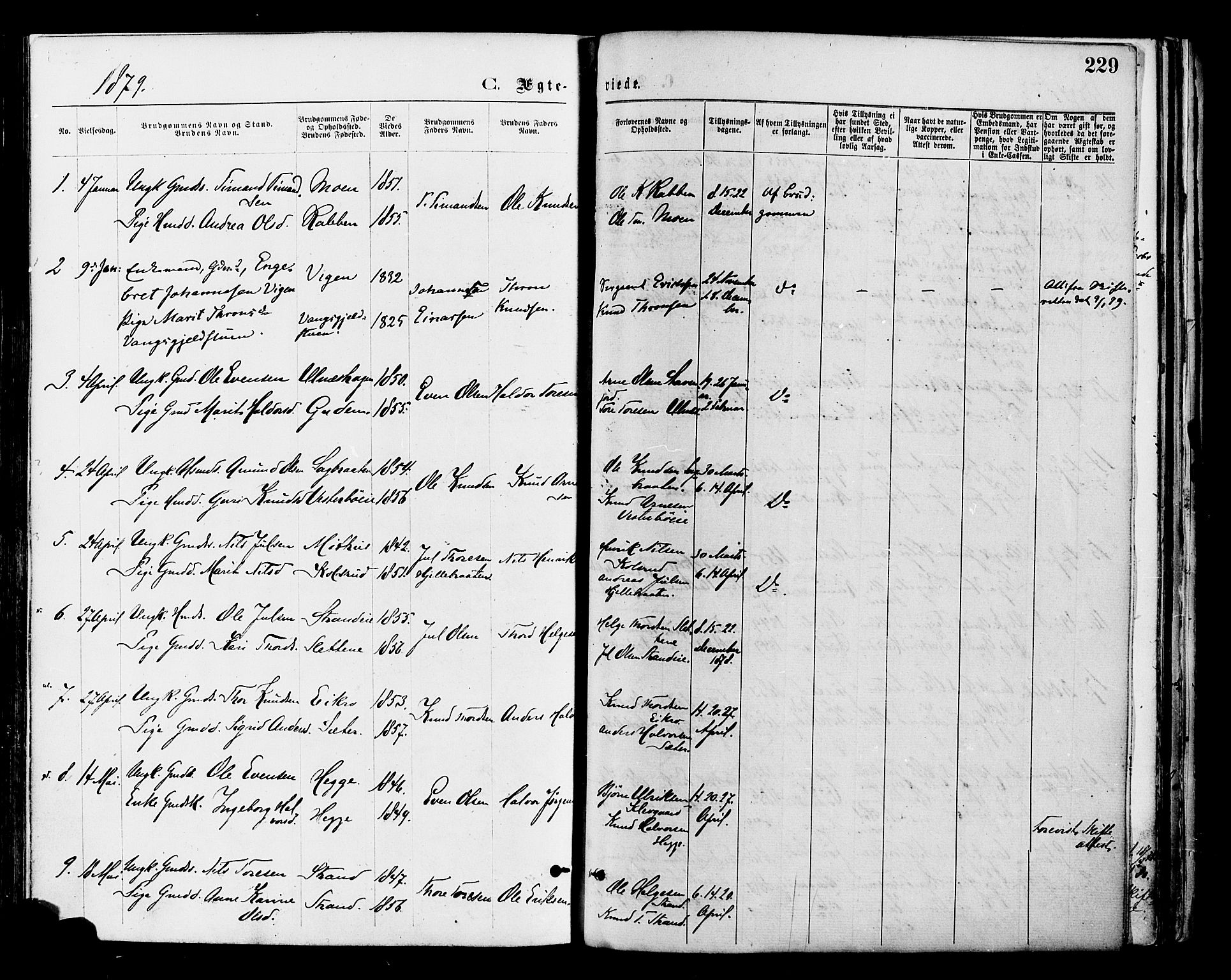 Nord-Aurdal prestekontor, SAH/PREST-132/H/Ha/Haa/L0009: Parish register (official) no. 9, 1876-1882, p. 229
