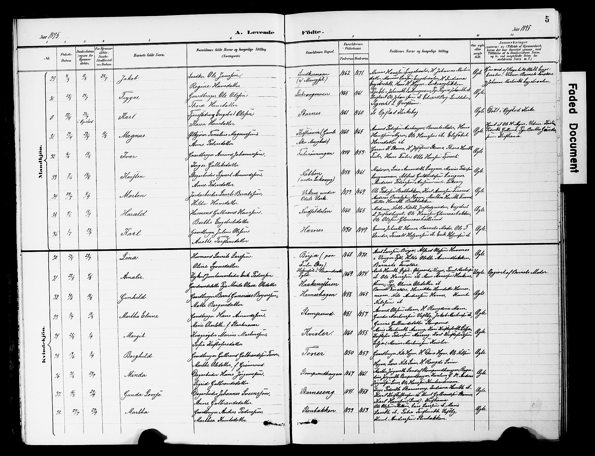 Sør-Odal prestekontor, AV/SAH-PREST-030/H/Ha/Hab/L0001: Parish register (copy) no. 1, 1895-1902, p. 5