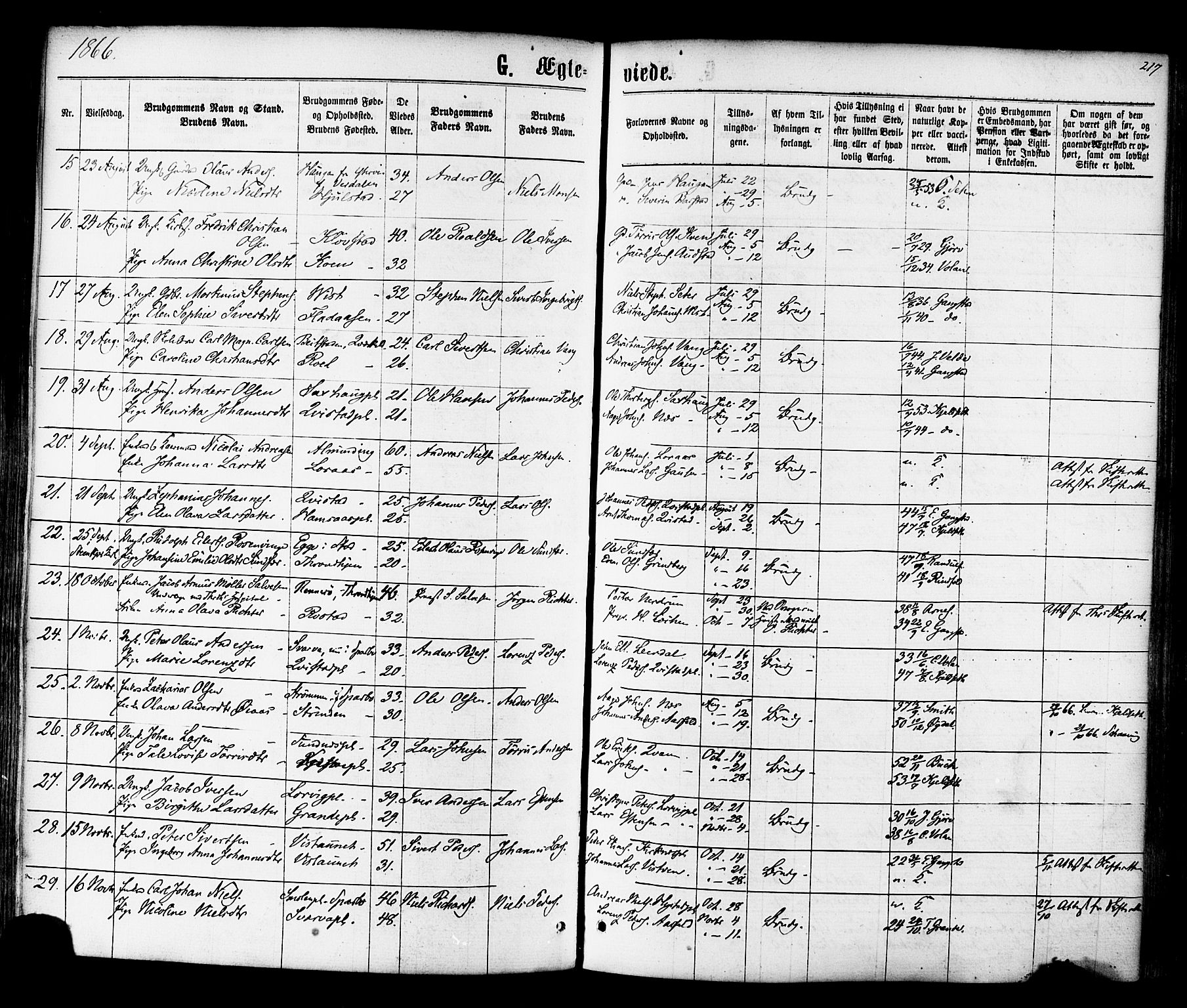 Ministerialprotokoller, klokkerbøker og fødselsregistre - Nord-Trøndelag, SAT/A-1458/730/L0284: Parish register (official) no. 730A09, 1866-1878, p. 217