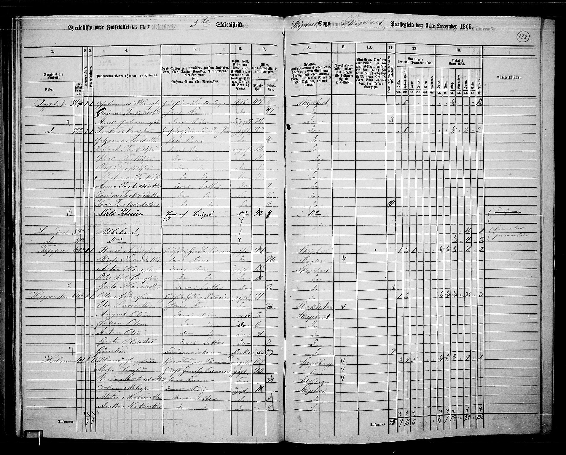 RA, 1865 census for Skiptvet, 1865, p. 121