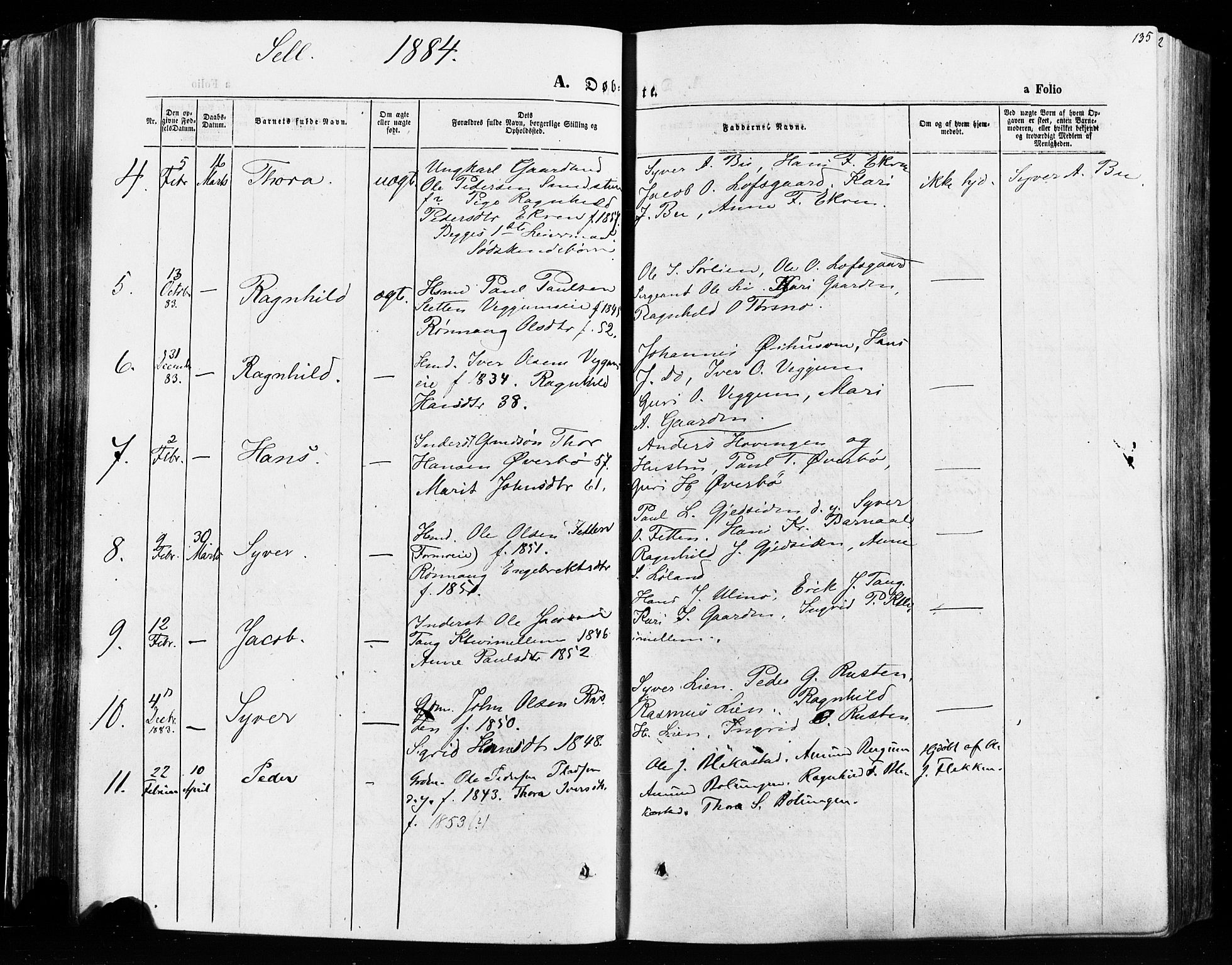 Vågå prestekontor, SAH/PREST-076/H/Ha/Haa/L0007: Parish register (official) no. 7 /3, 1872-1886, p. 135