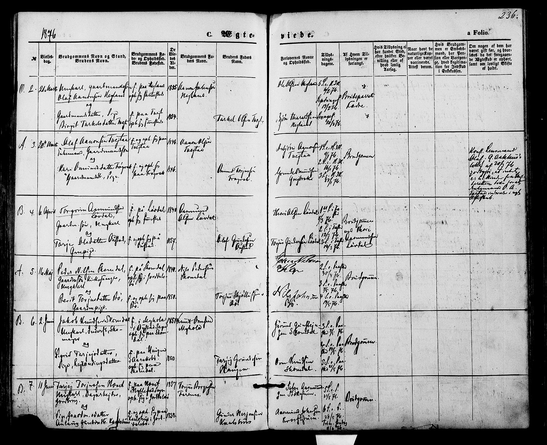 Bygland sokneprestkontor, AV/SAK-1111-0006/F/Fa/Fab/L0006: Parish register (official) no. A 6, 1873-1884, p. 236