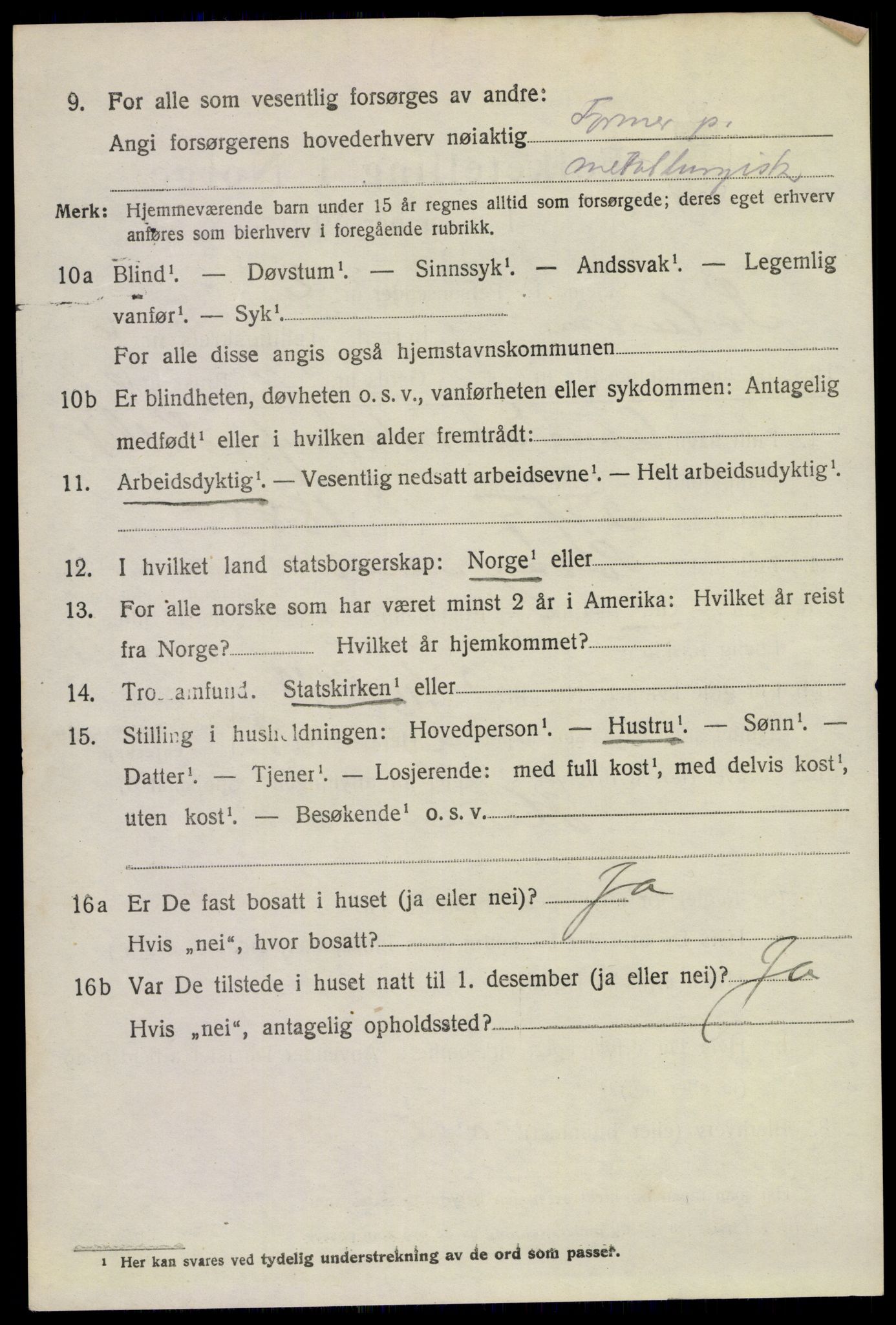 SAKO, 1920 census for Solum, 1920, p. 13173