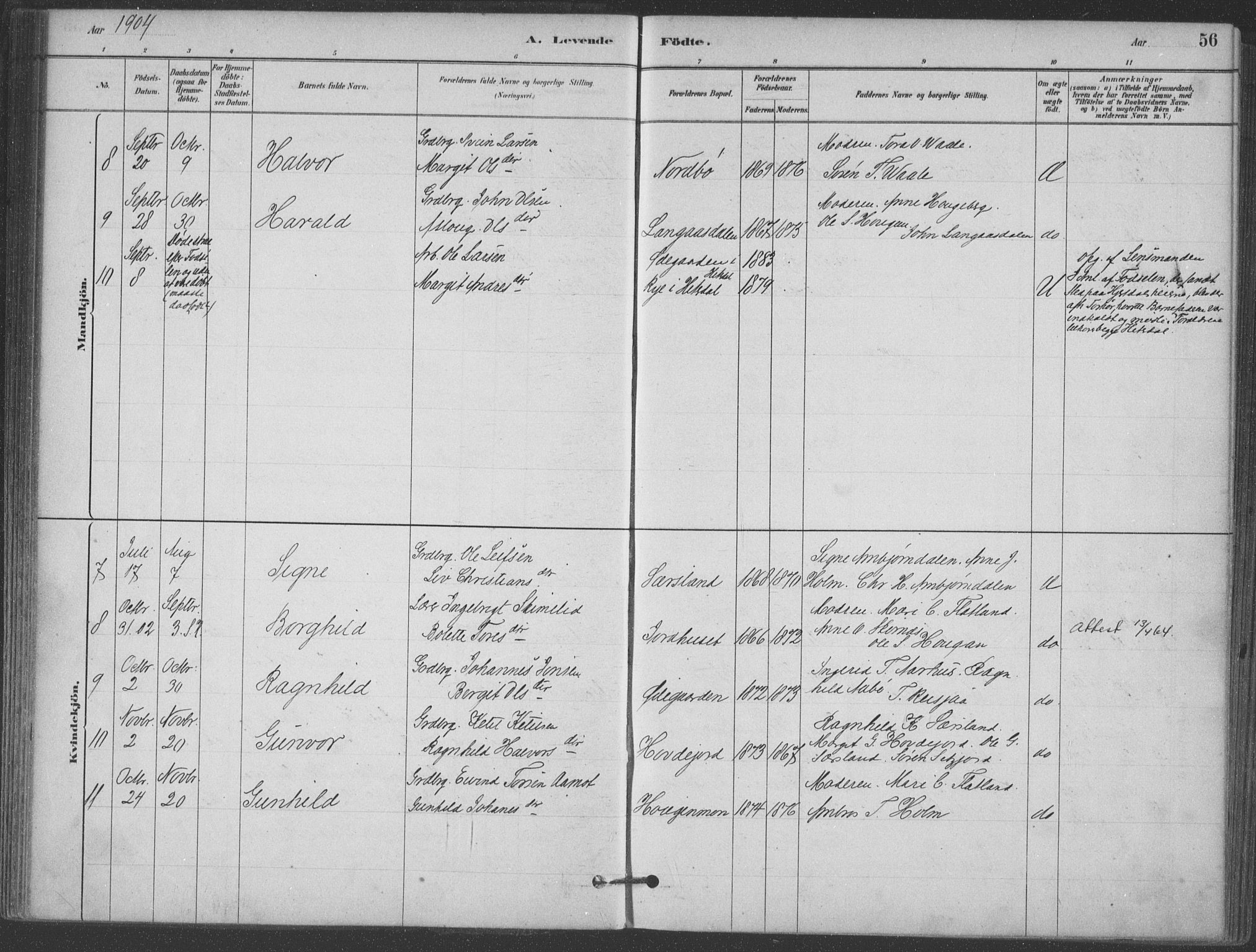 Hjartdal kirkebøker, AV/SAKO-A-270/F/Fa/L0010: Parish register (official) no. I 10, 1880-1929, p. 56