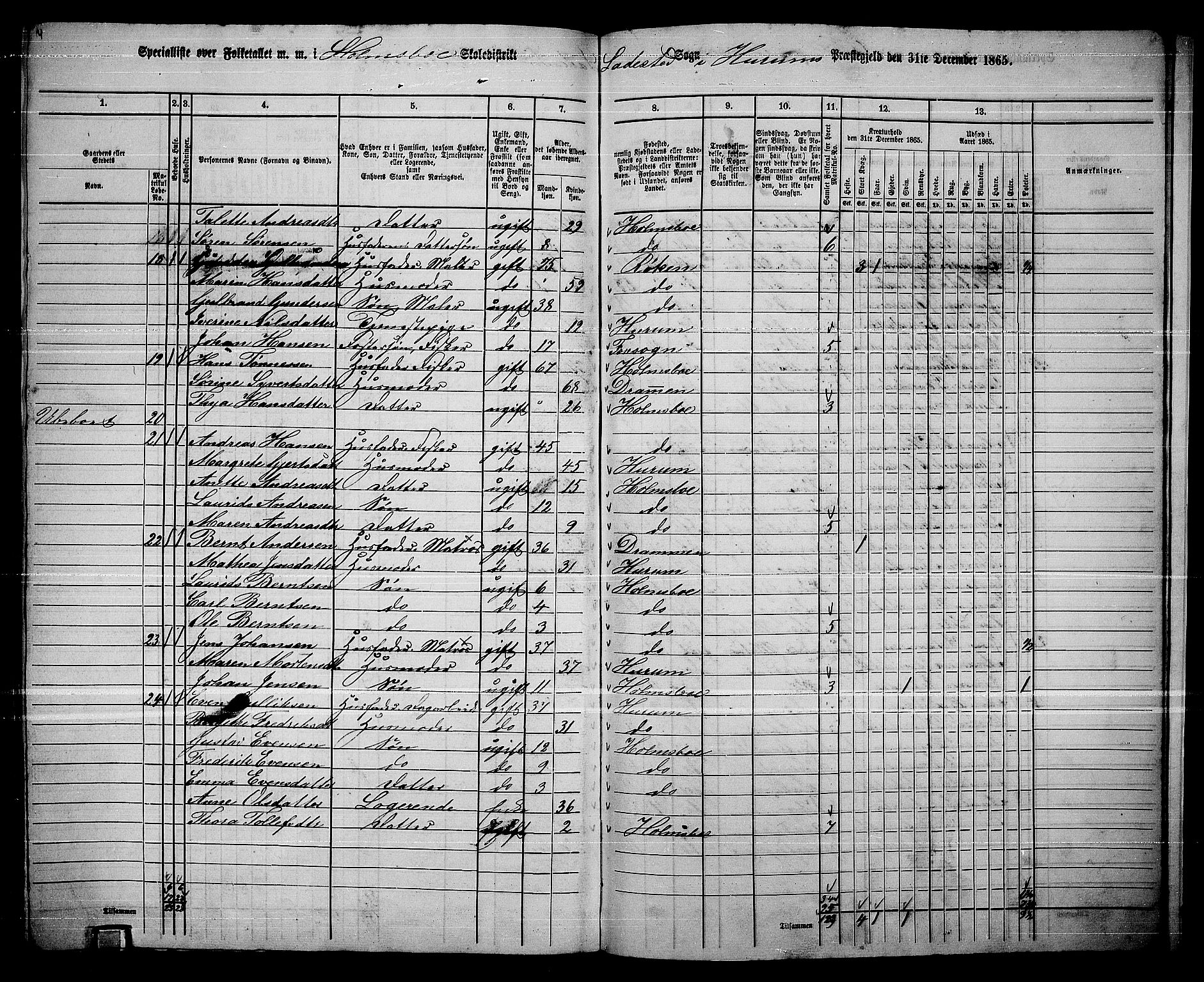 RA, 1865 census for Hurum, 1865, p. 110