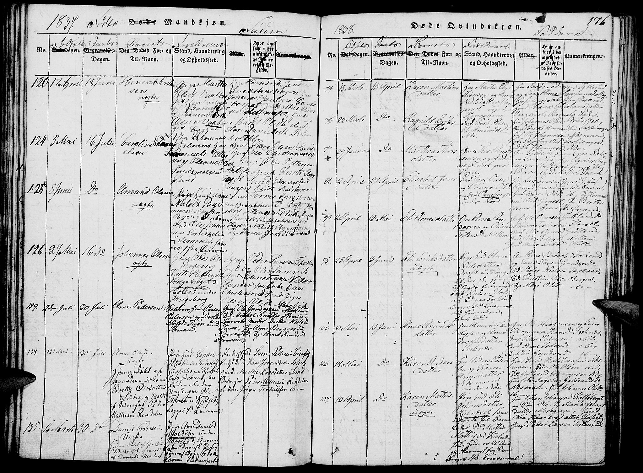 Grue prestekontor, AV/SAH-PREST-036/H/Ha/Hab/L0002: Parish register (copy) no. 2, 1815-1841, p. 176