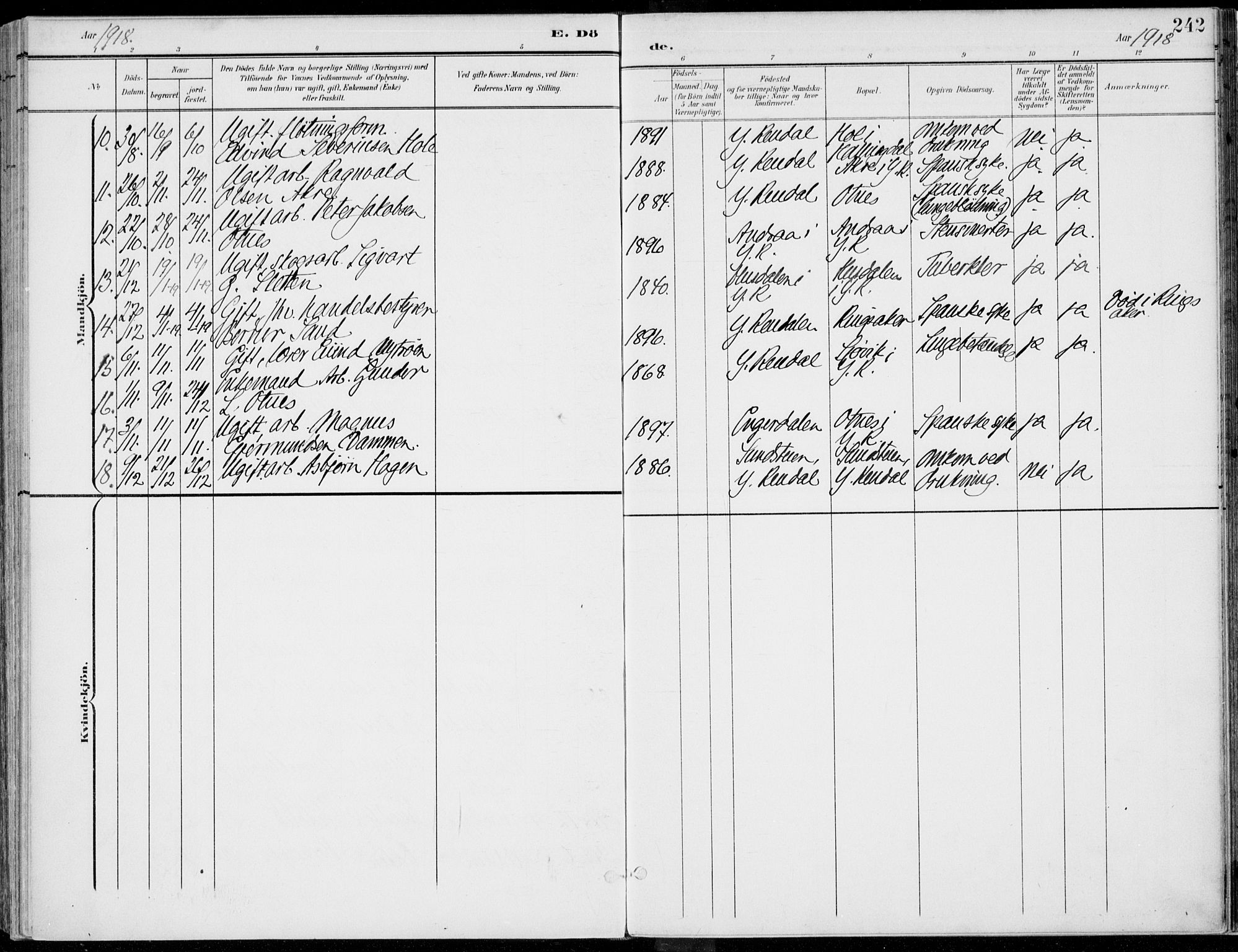 Rendalen prestekontor, AV/SAH-PREST-054/H/Ha/Haa/L0011: Parish register (official) no. 11, 1901-1925, p. 242