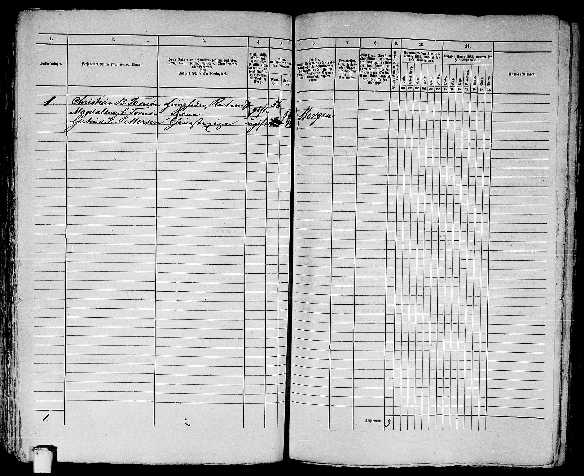 RA, 1865 census for Bergen, 1865, p. 3247