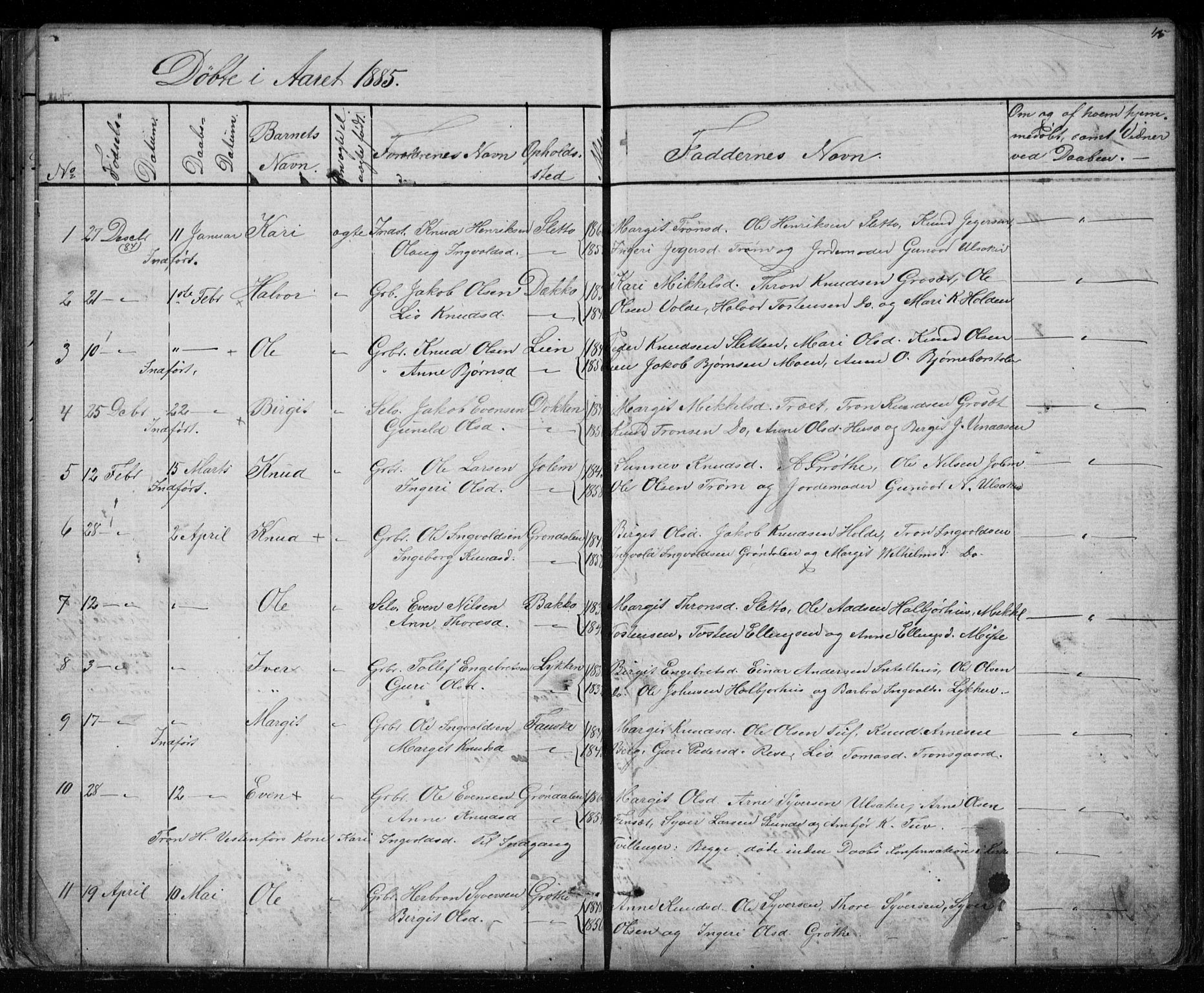 Gol kirkebøker, AV/SAKO-A-226/G/Gb/L0005: Parish register (copy) no. II 5, 1875-1891, p. 45