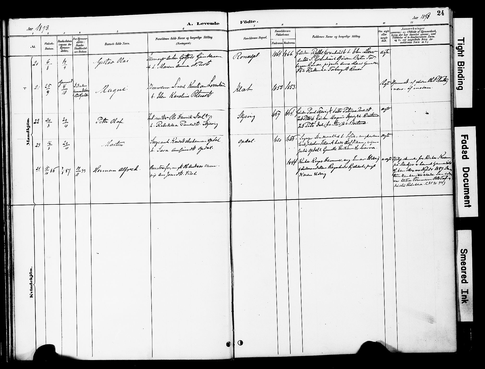 Ministerialprotokoller, klokkerbøker og fødselsregistre - Nord-Trøndelag, AV/SAT-A-1458/741/L0396: Parish register (official) no. 741A10, 1889-1901, p. 24