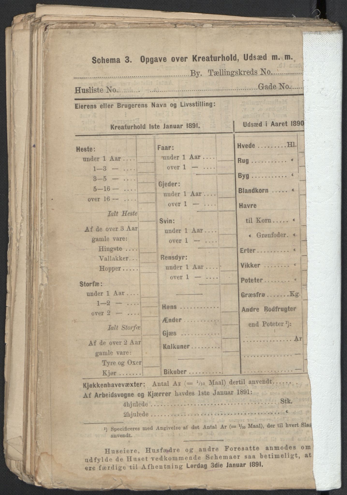 RA, 1891 Census for 1301 Bergen, 1891, p. 7798