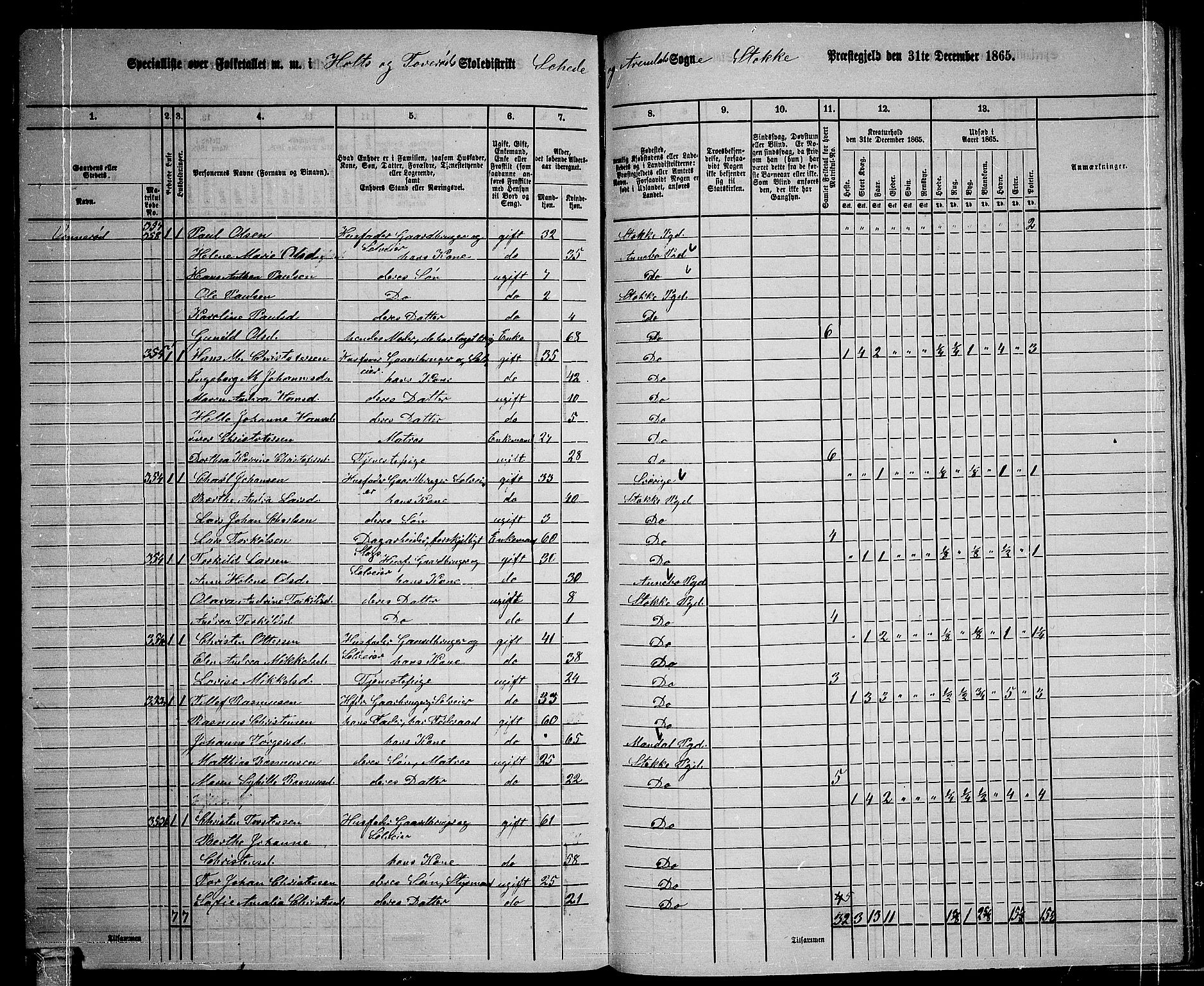 RA, 1865 census for Stokke, 1865, p. 172