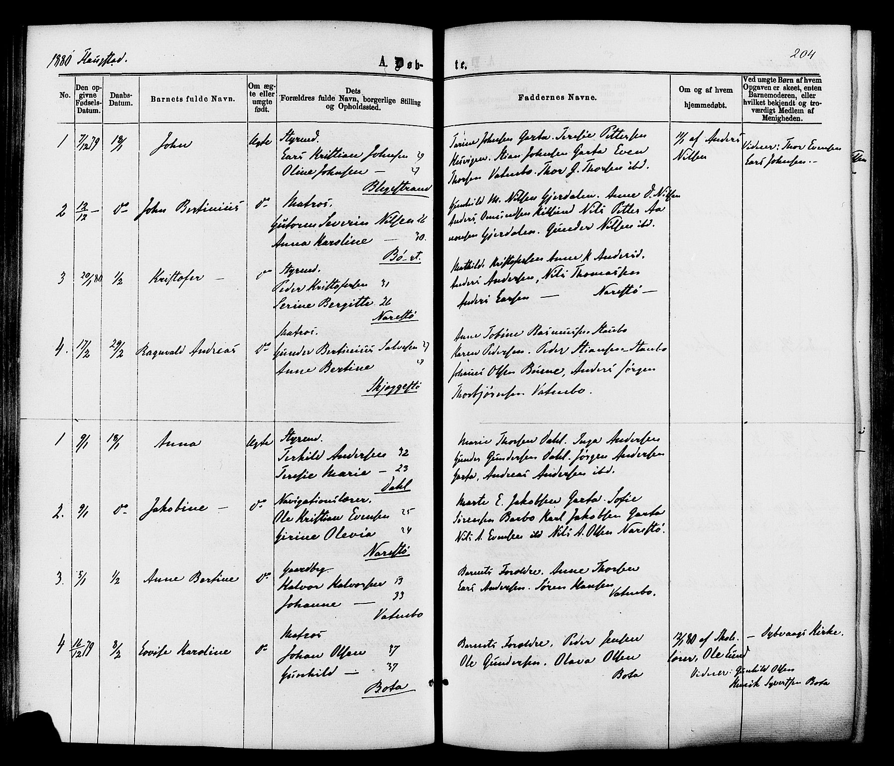 Dypvåg sokneprestkontor, SAK/1111-0007/F/Fa/Faa/L0007: Parish register (official) no. A 7 /2, 1877-1884, p. 204
