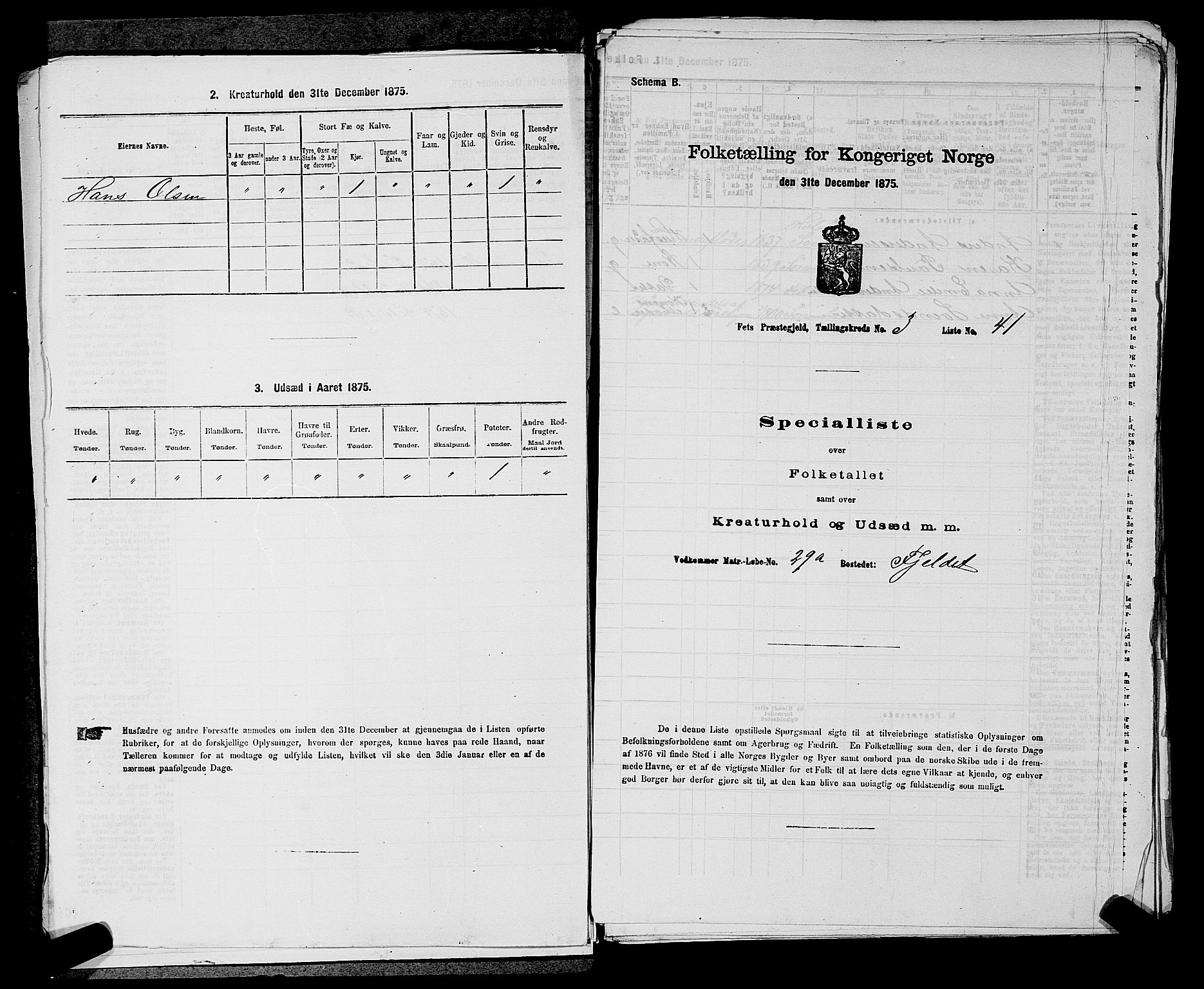 RA, 1875 census for 0227P Fet, 1875, p. 354