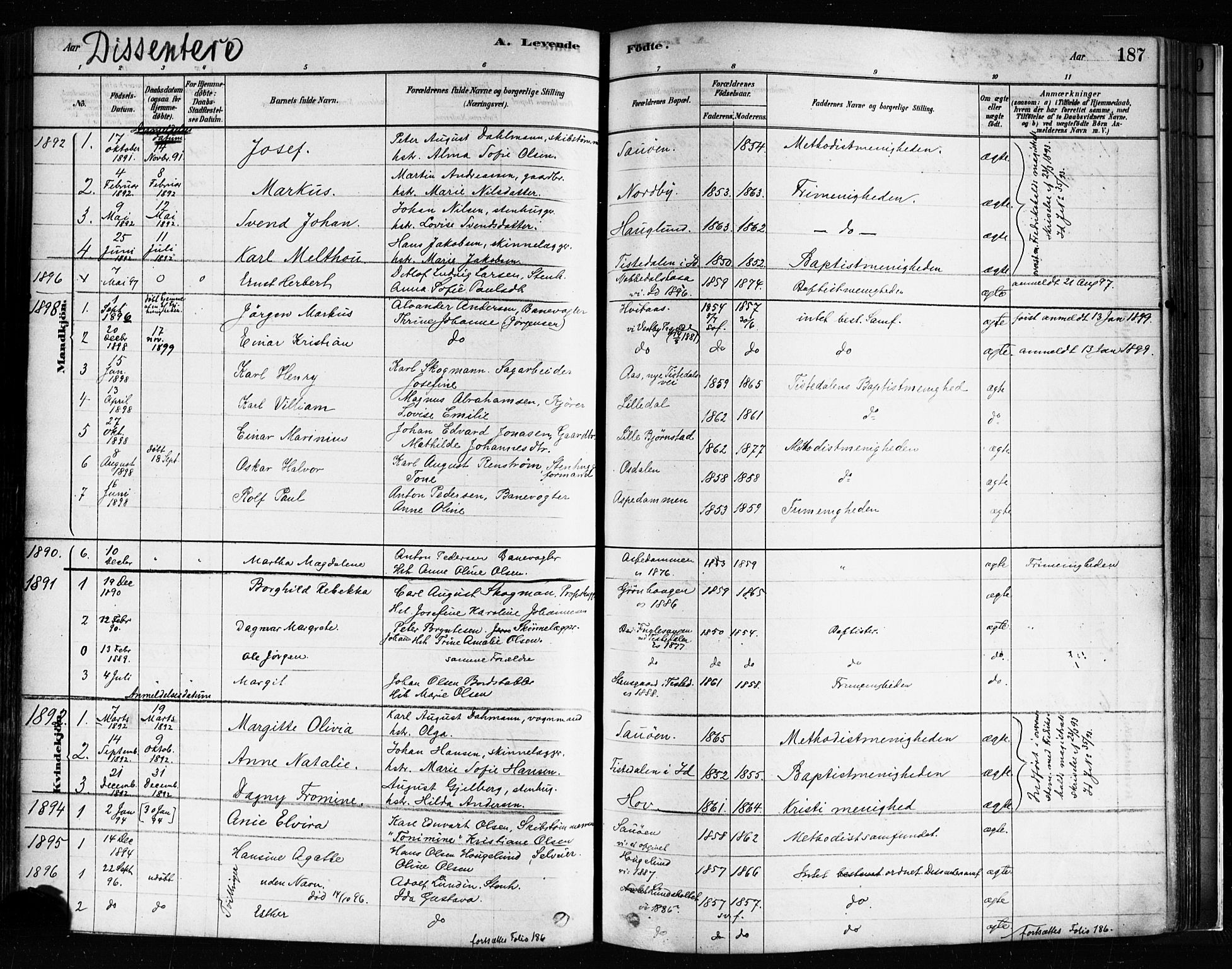 Idd prestekontor Kirkebøker, AV/SAO-A-10911/F/Fc/L0006a: Parish register (official) no. III 6A, 1878-1903, p. 187