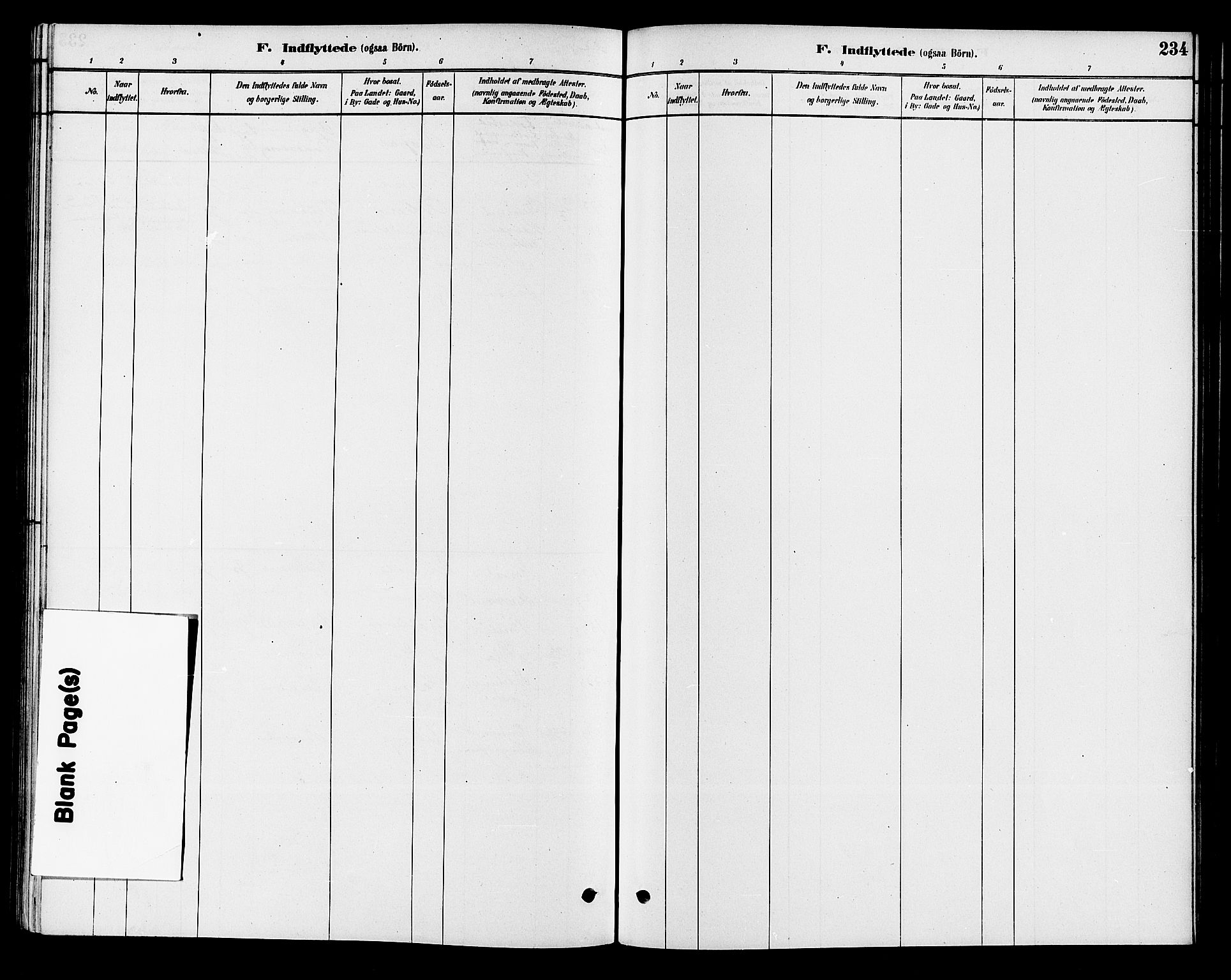 Krødsherad kirkebøker, AV/SAKO-A-19/G/Ga/L0001: Parish register (copy) no. 1, 1879-1893, p. 234