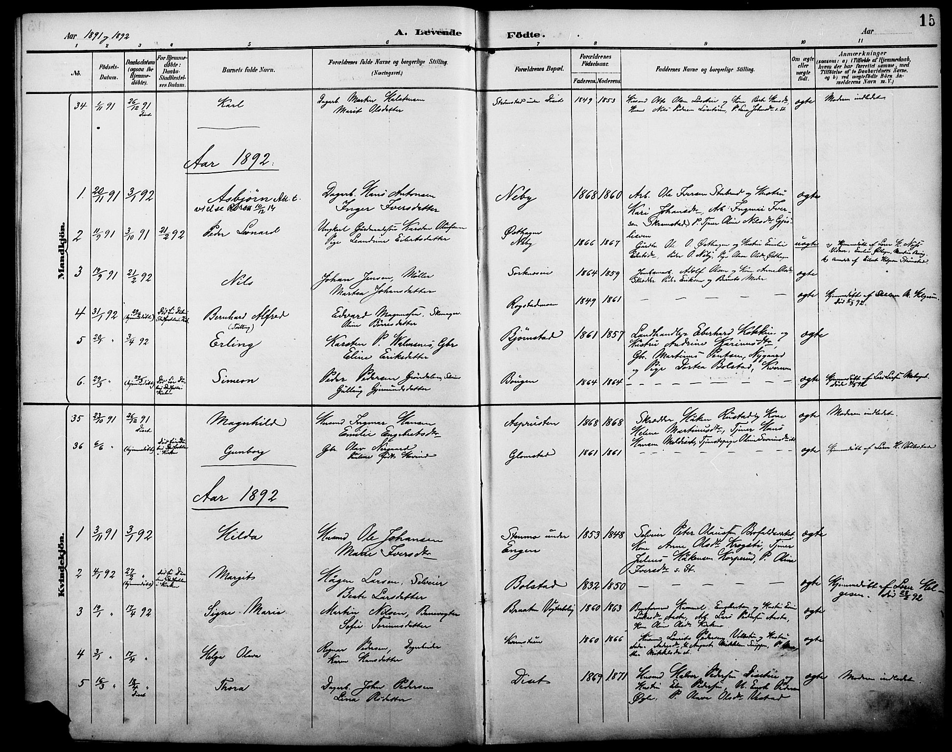 Åmot prestekontor, Hedmark, AV/SAH-PREST-056/H/Ha/Haa/L0011: Parish register (official) no. 11, 1890-1897, p. 15