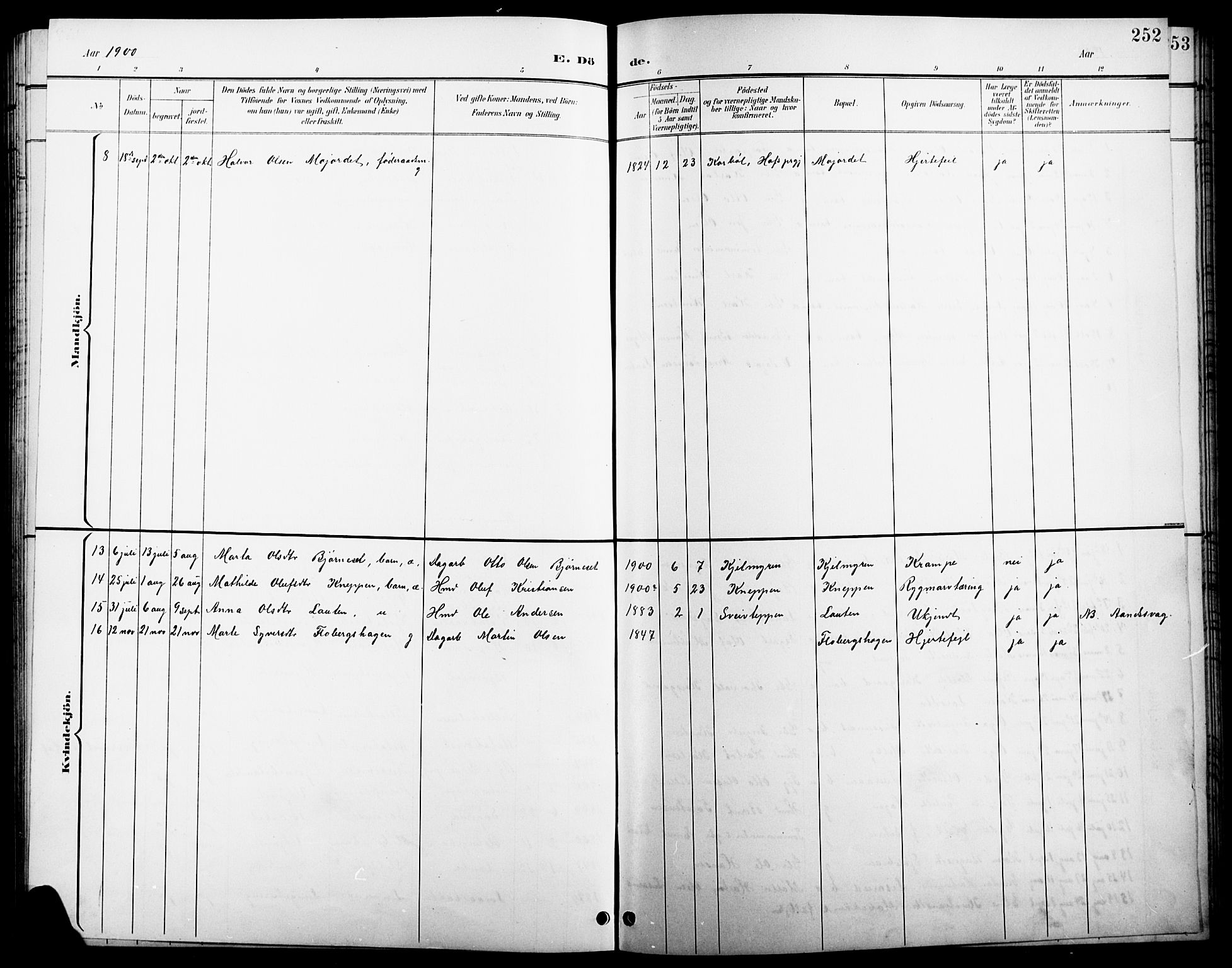 Åsnes prestekontor, SAH/PREST-042/H/Ha/Hab/L0004: Parish register (copy) no. 4, 1895-1909, p. 252