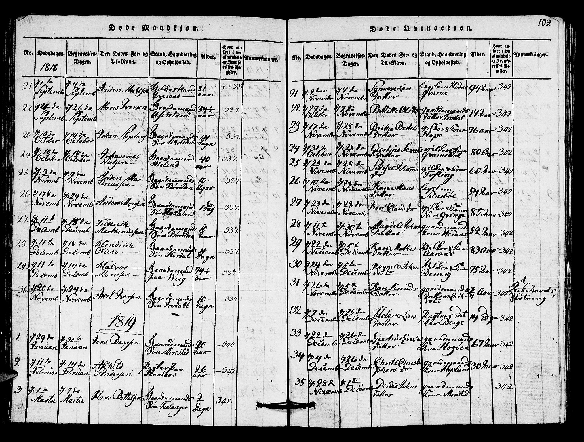 Lindås Sokneprestembete, AV/SAB-A-76701/H/Hab/Haba/L0001: Parish register (copy) no. A 1, 1816-1823, p. 102