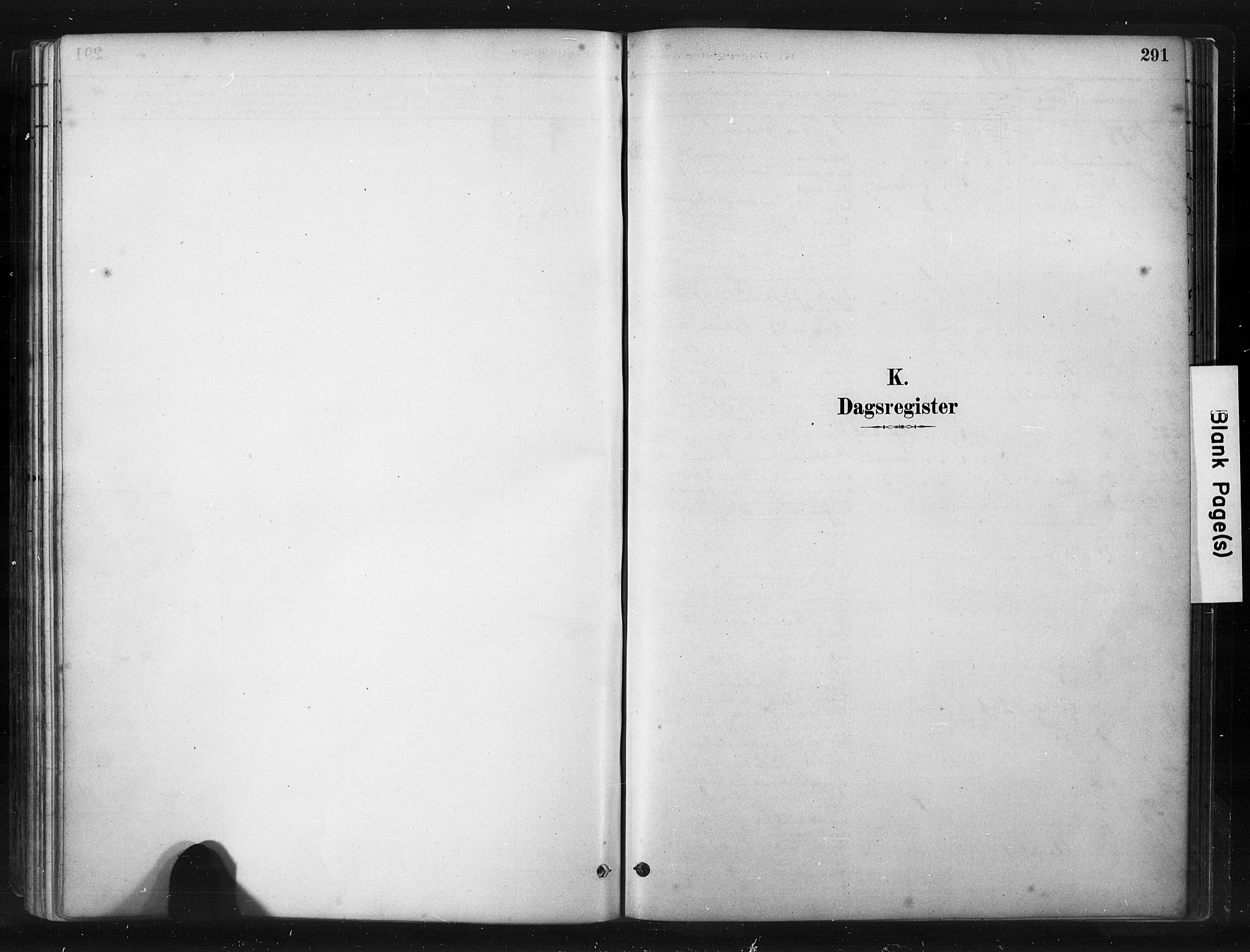 Hjelmeland sokneprestkontor, SAST/A-101843/01/IV/L0014: Parish register (official) no. A 14, 1879-1900, p. 291