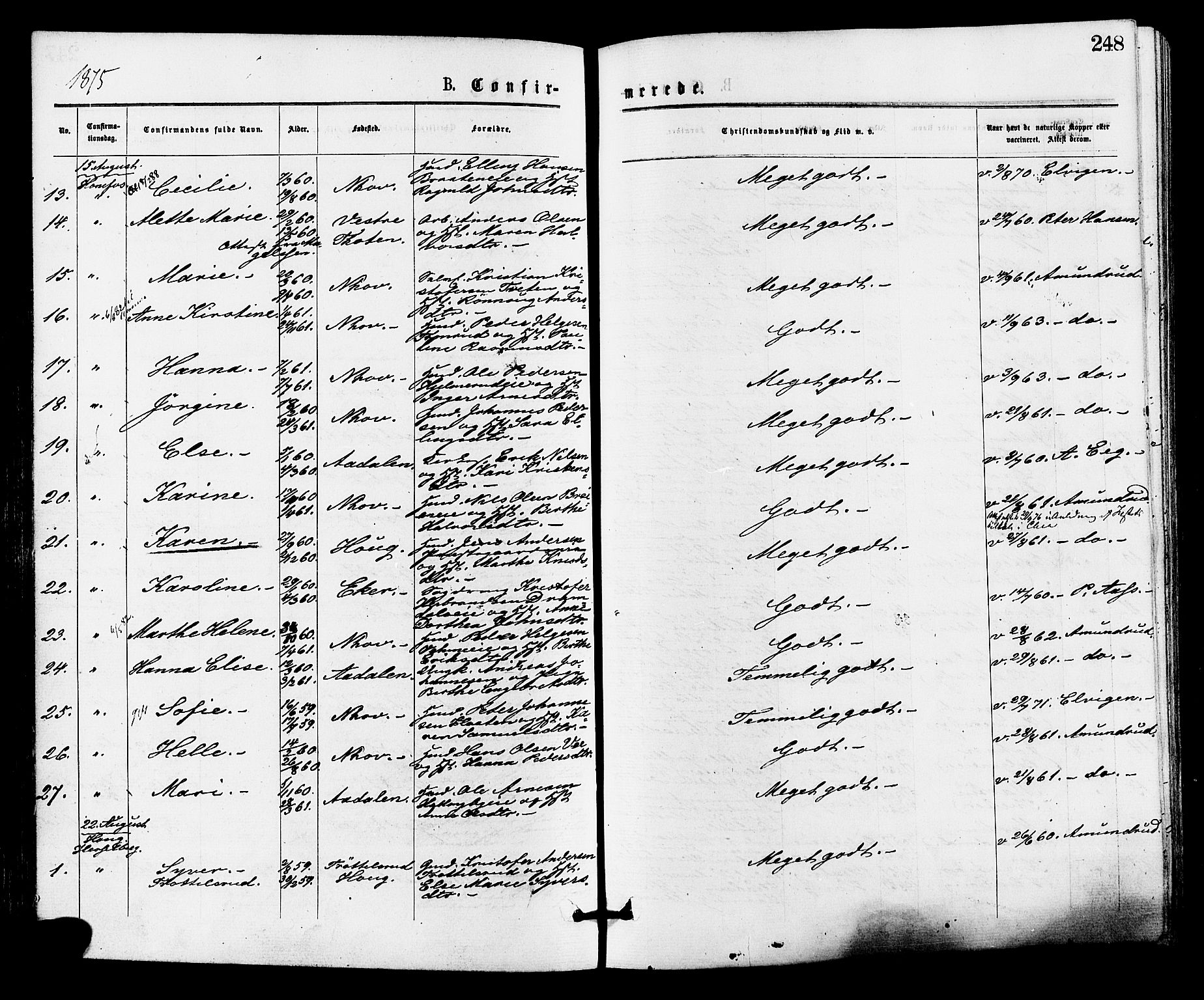 Norderhov kirkebøker, AV/SAKO-A-237/F/Fa/L0015: Parish register (official) no. 15, 1875-1884, p. 248