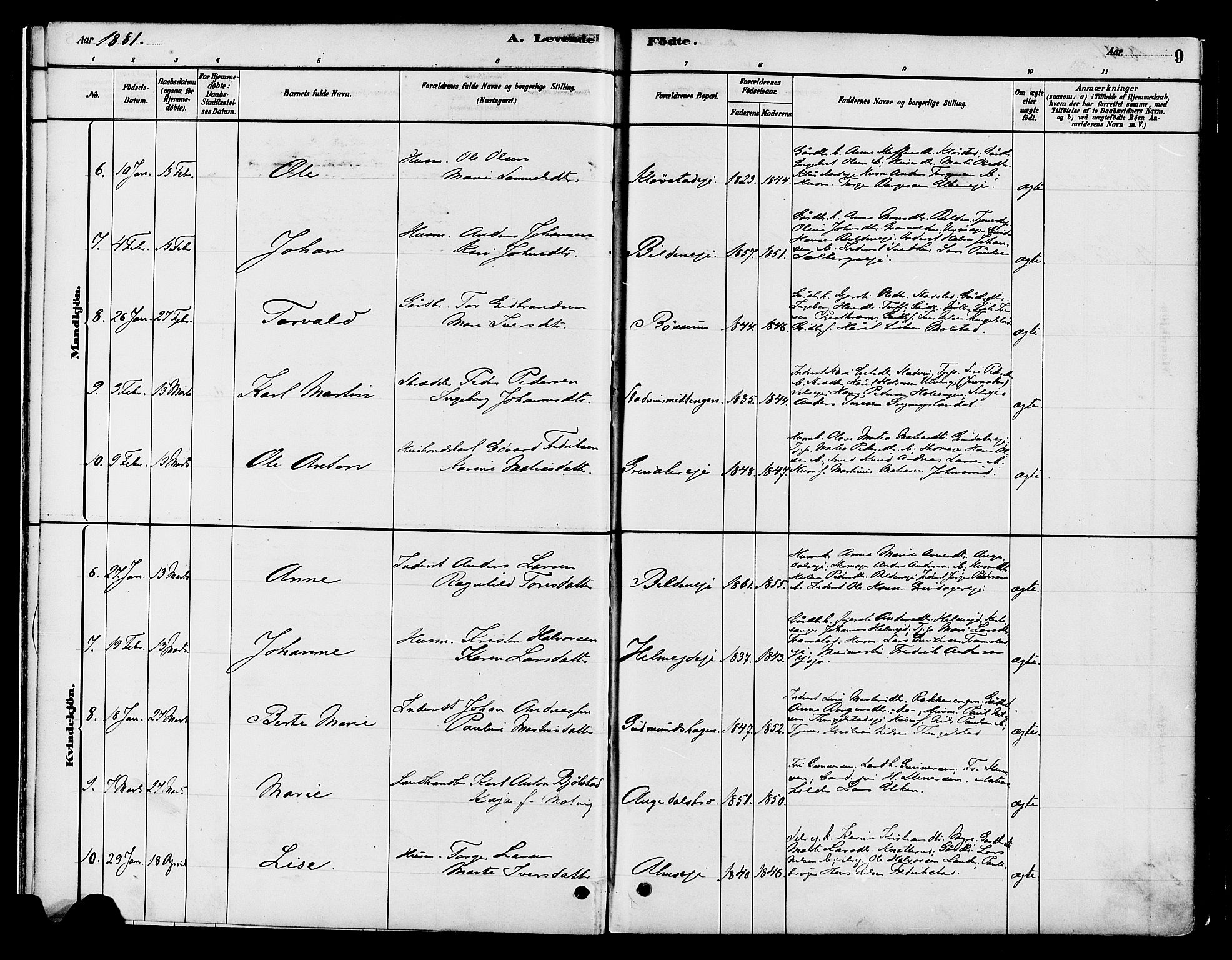 Gran prestekontor, SAH/PREST-112/H/Ha/Haa/L0016: Parish register (official) no. 16, 1880-1888, p. 9