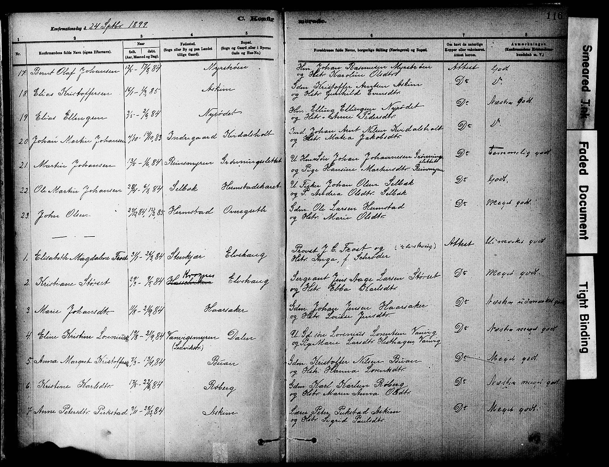 Ministerialprotokoller, klokkerbøker og fødselsregistre - Sør-Trøndelag, AV/SAT-A-1456/646/L0615: Parish register (official) no. 646A13, 1885-1900, p. 116