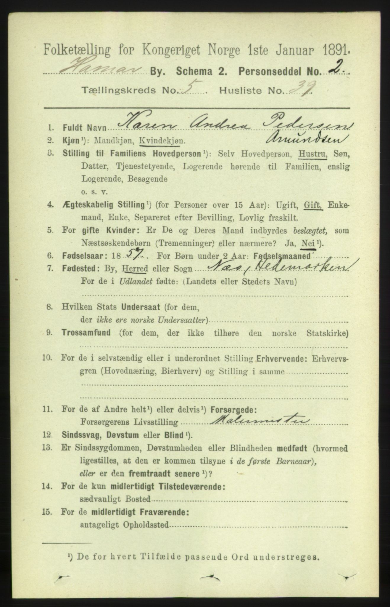 RA, 1891 census for 0401 Hamar, 1891, p. 4305