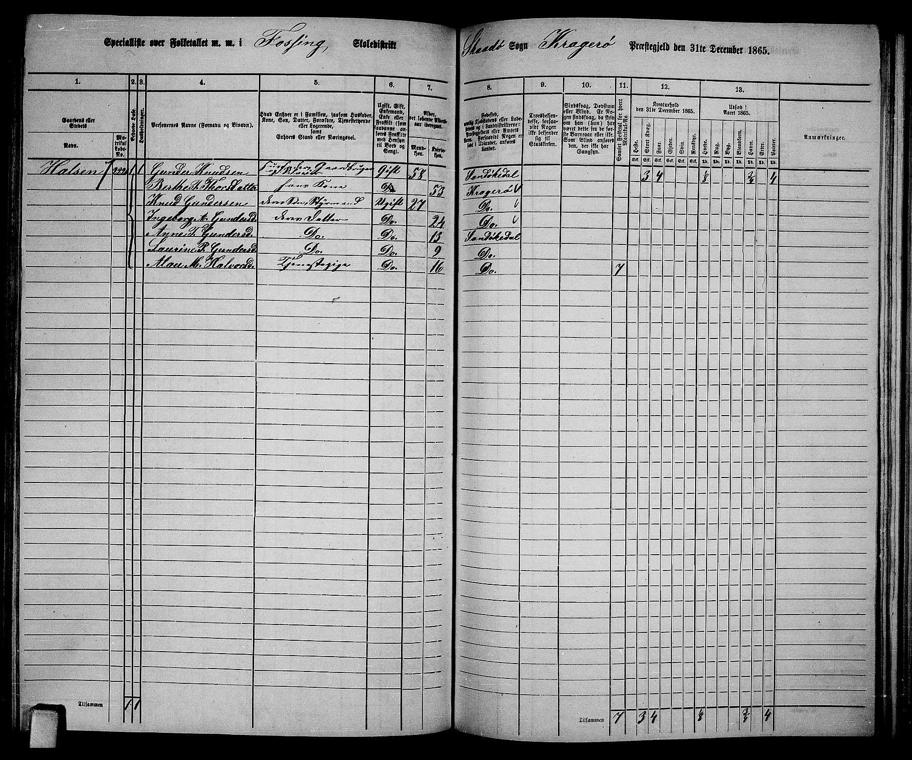 RA, 1865 census for Kragerø/Sannidal og Skåtøy, 1865, p. 164