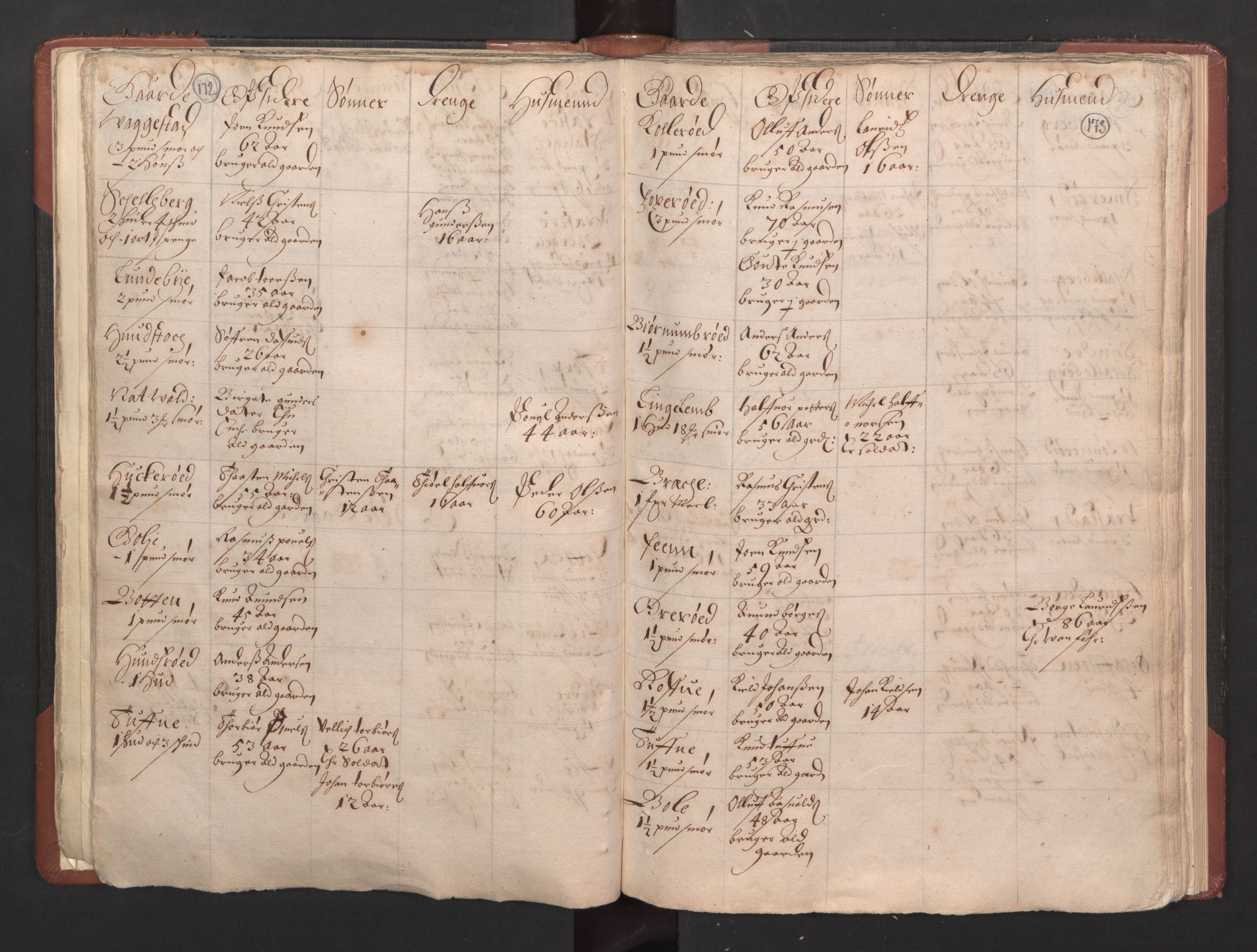 RA, Bailiff's Census 1664-1666, no. 5: Modern Buskerud county and modern Vestfold county, 1664, p. 172-173