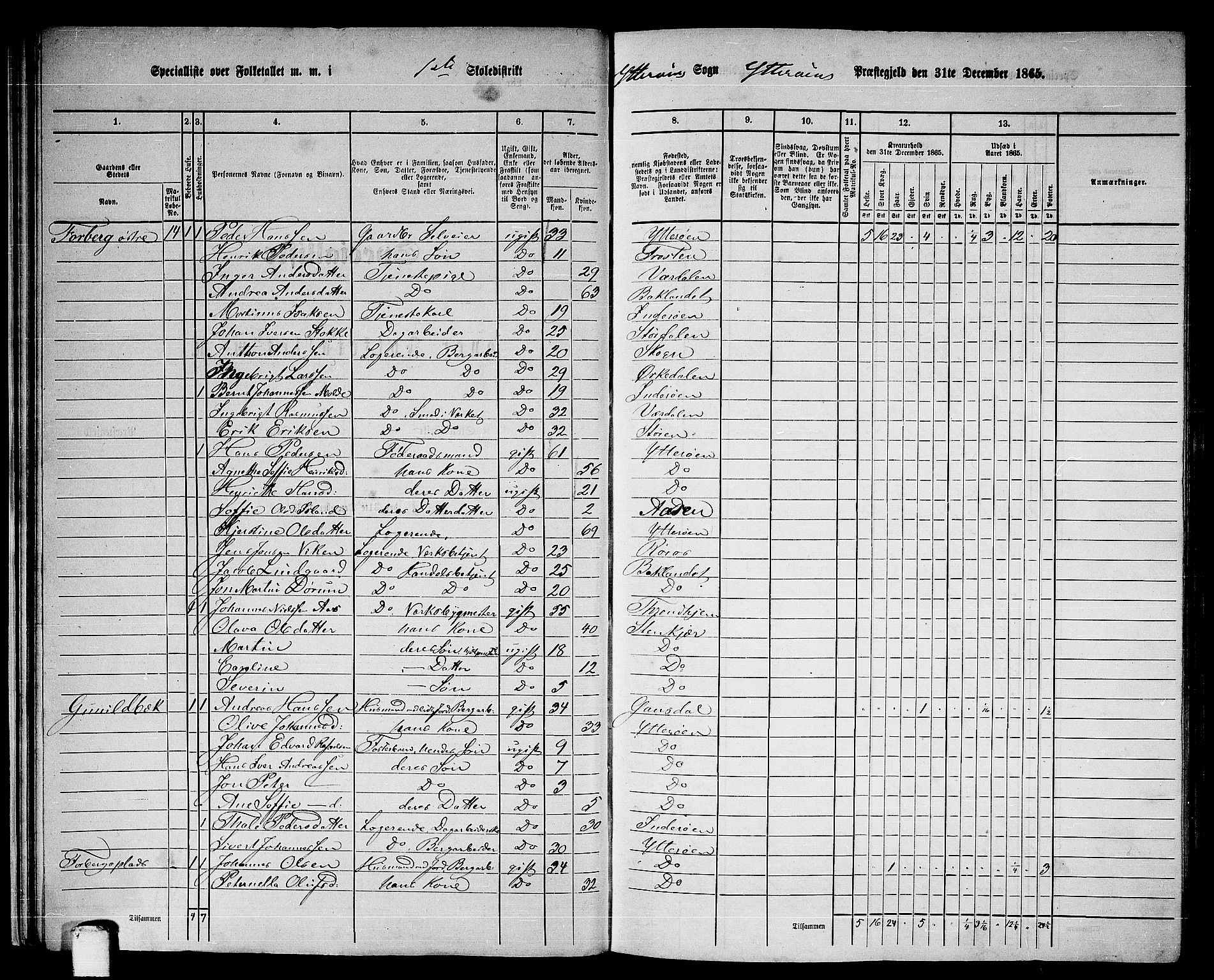 RA, 1865 census for Ytterøy, 1865, p. 24