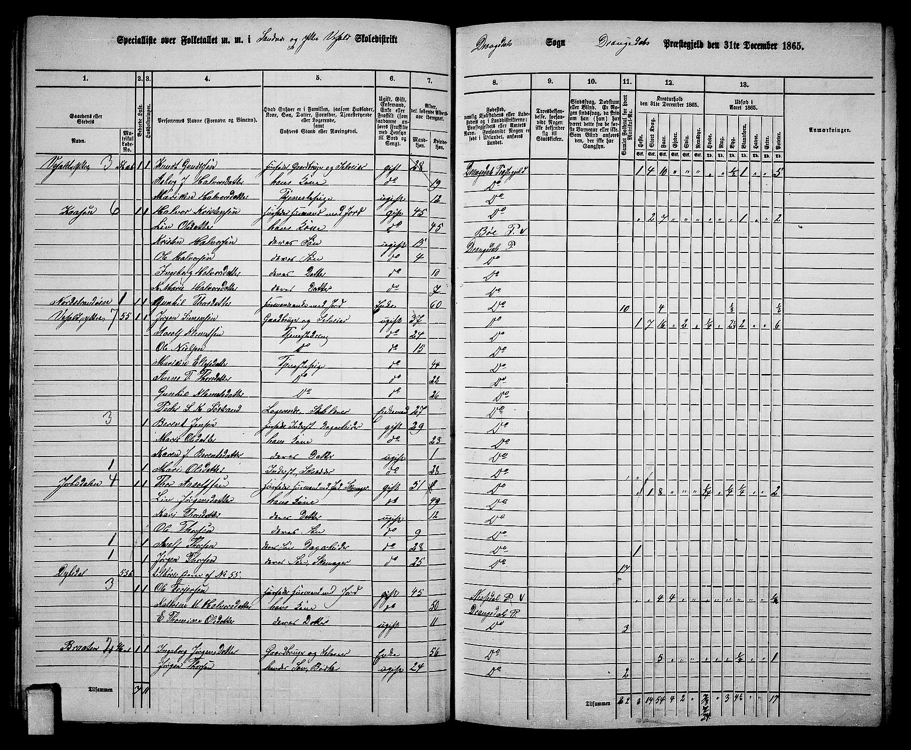 RA, 1865 census for Drangedal, 1865, p. 33