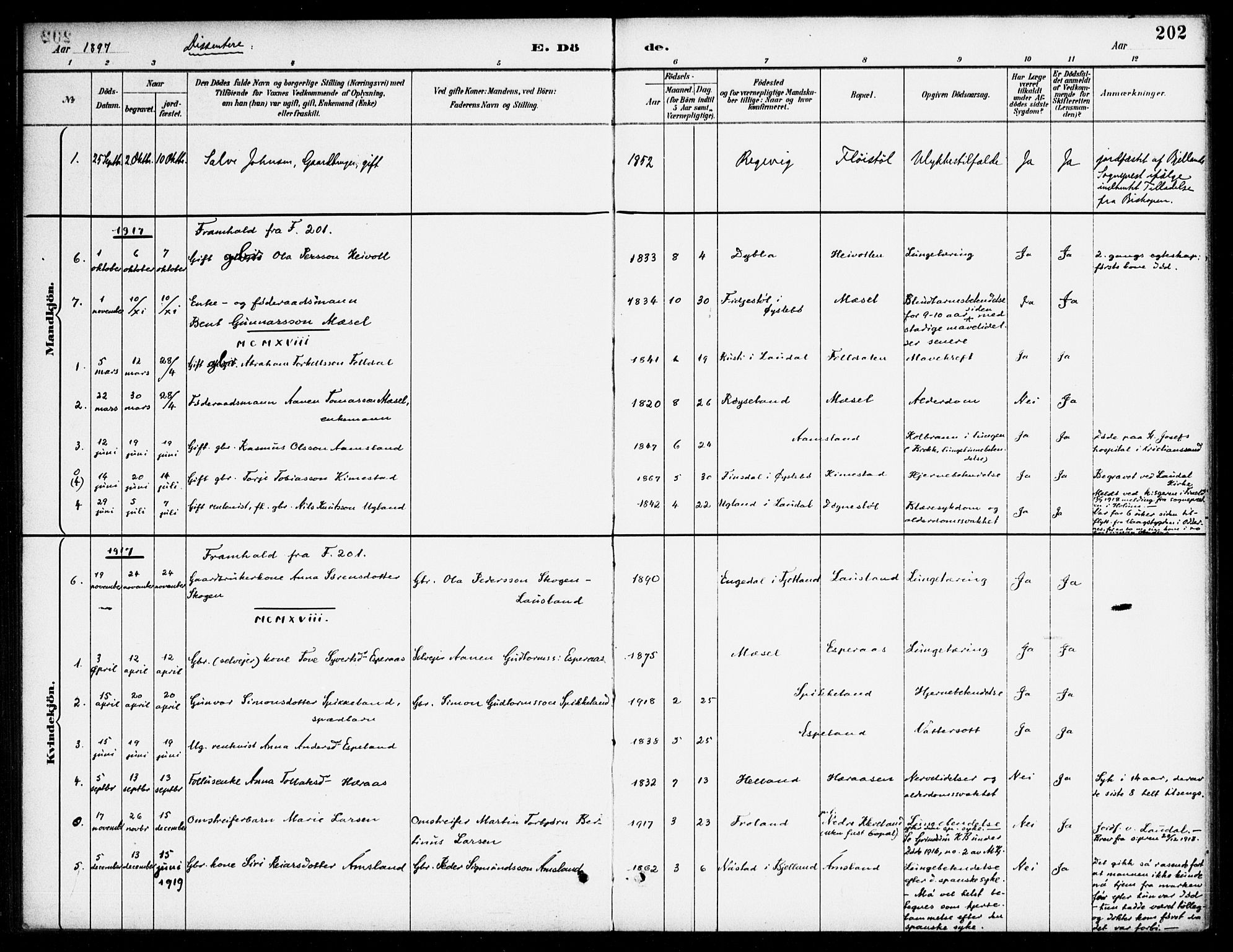 Bjelland sokneprestkontor, SAK/1111-0005/F/Fa/Fab/L0004: Parish register (official) no. A 4, 1887-1920, p. 202