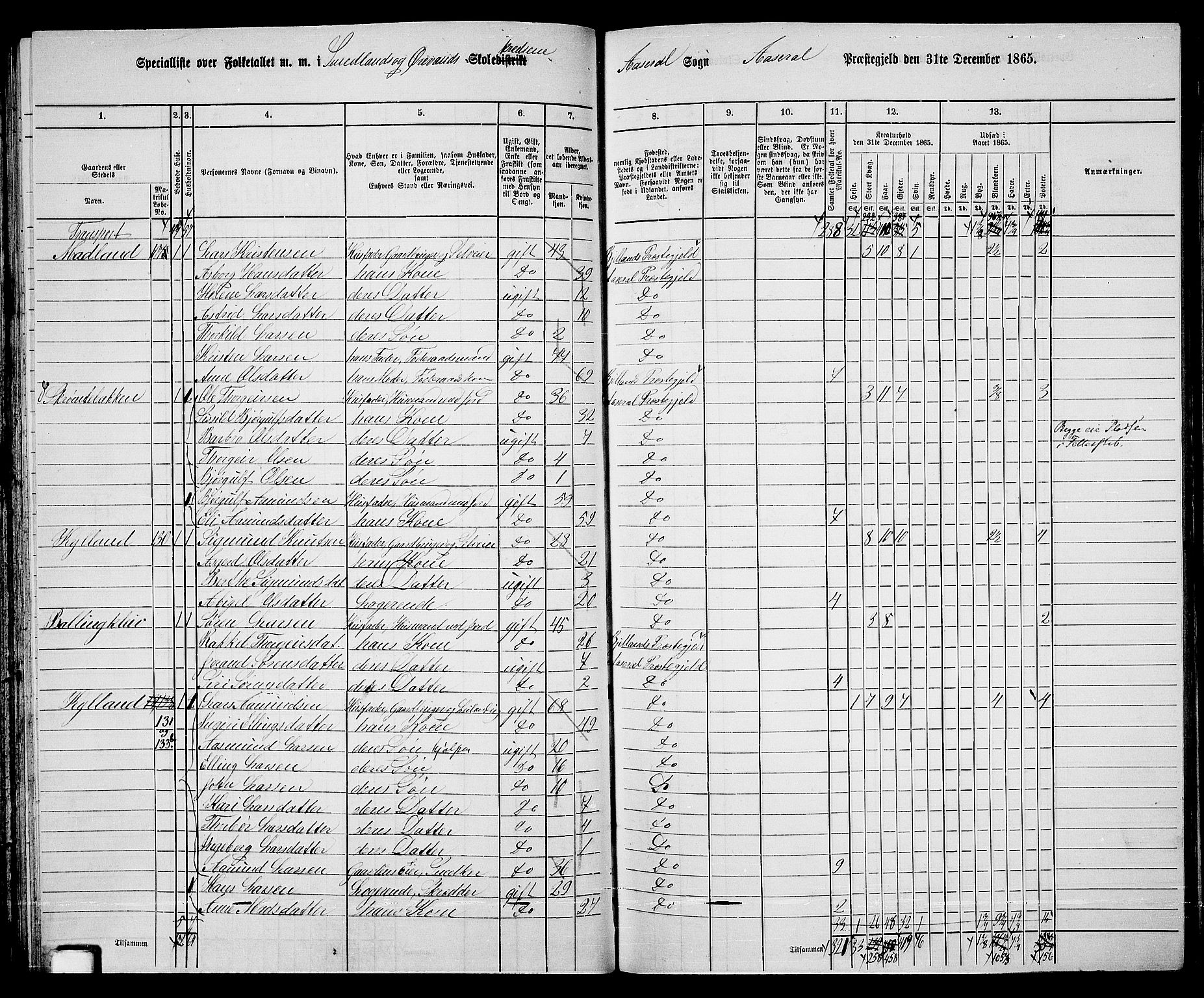 RA, 1865 census for Åseral, 1865, p. 54