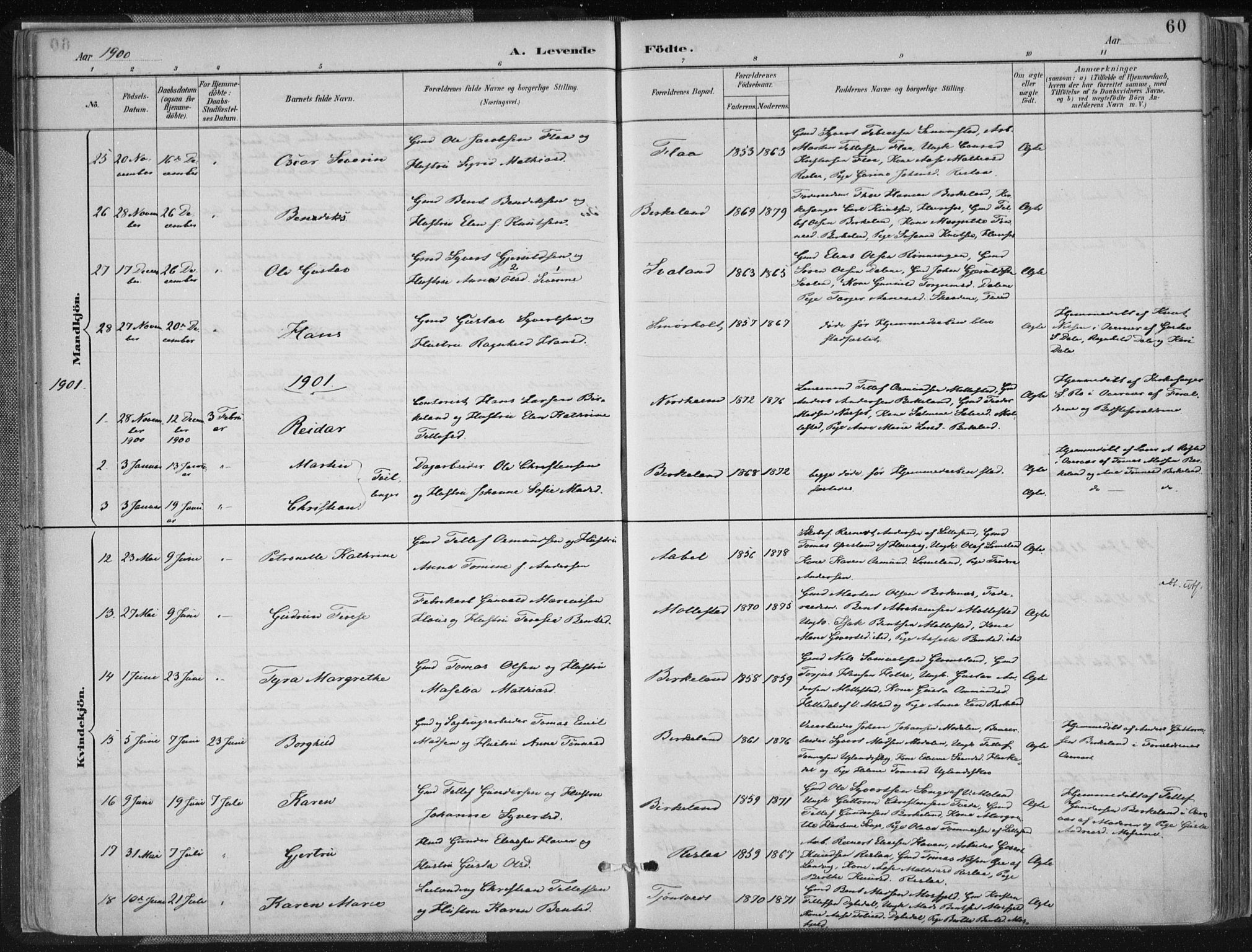 Birkenes sokneprestkontor, AV/SAK-1111-0004/F/Fa/L0005: Parish register (official) no. A 5, 1887-1907, p. 60