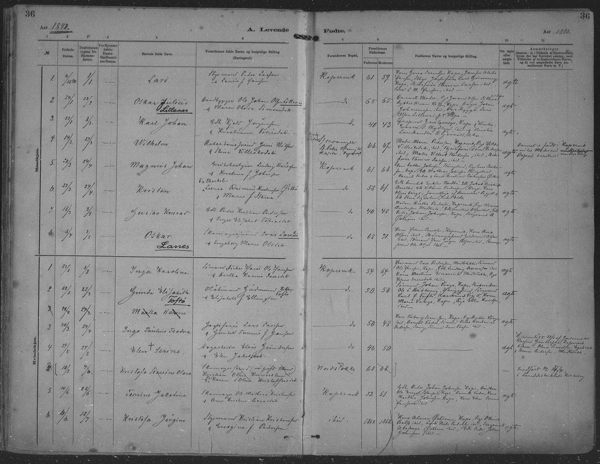 Kopervik sokneprestkontor, SAST/A-101850/H/Ha/Haa/L0001: Parish register (official) no. A 1, 1880-1919, p. 36