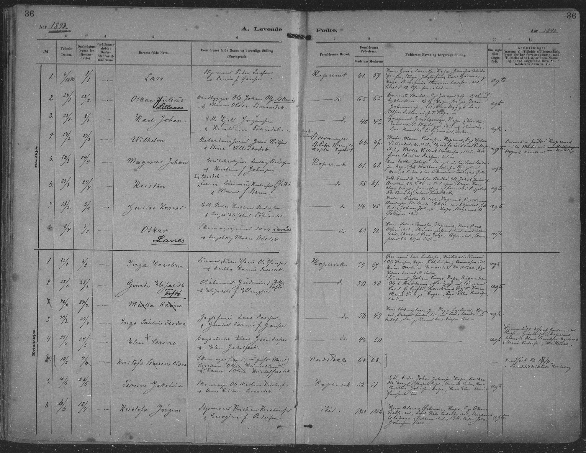 Kopervik sokneprestkontor, AV/SAST-A-101850/H/Ha/Haa/L0001: Parish register (official) no. A 1, 1880-1919, p. 36