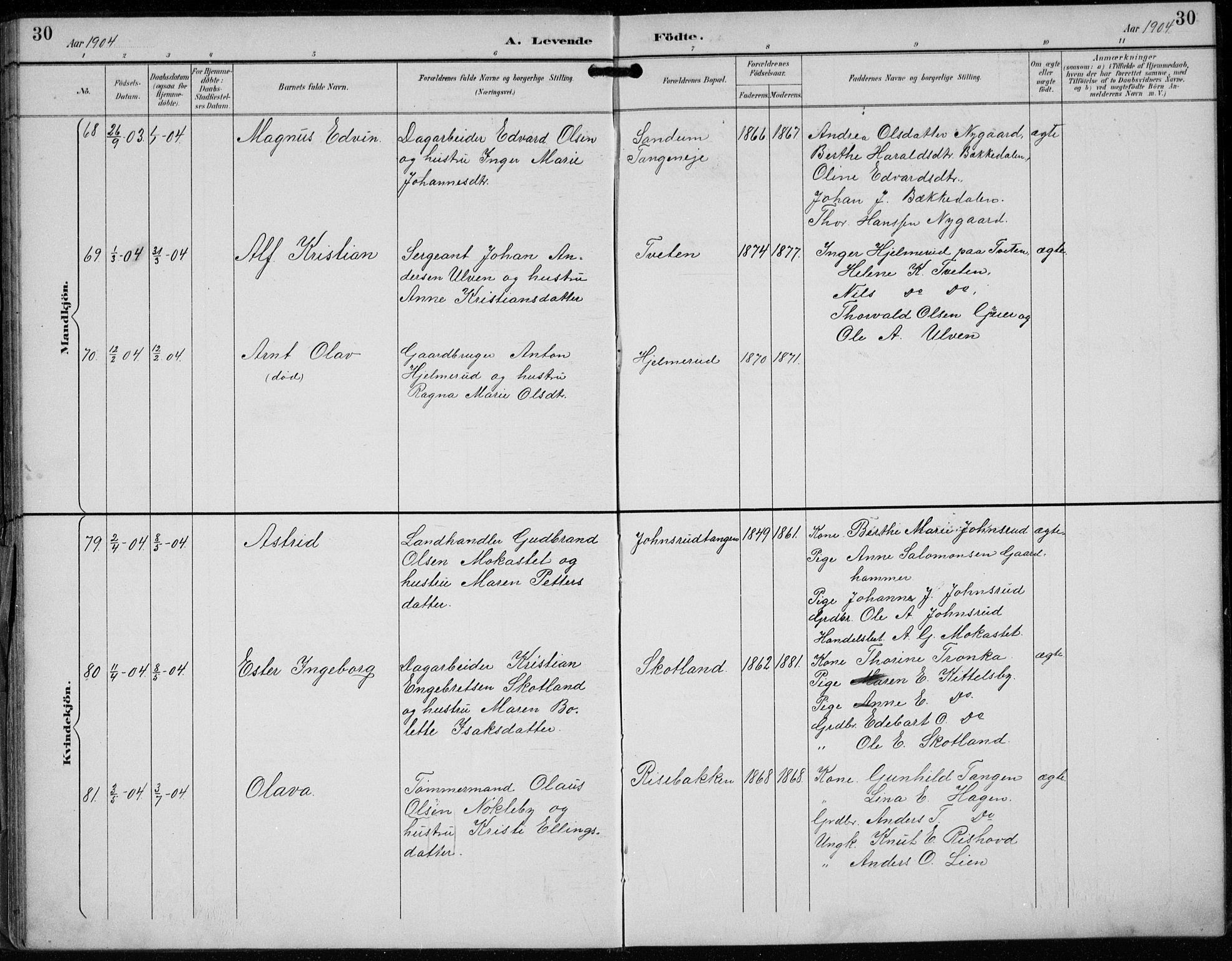 Lunder kirkebøker, AV/SAKO-A-629/F/Fb/L0001: Parish register (official) no. II 1, 1893-1916, p. 30