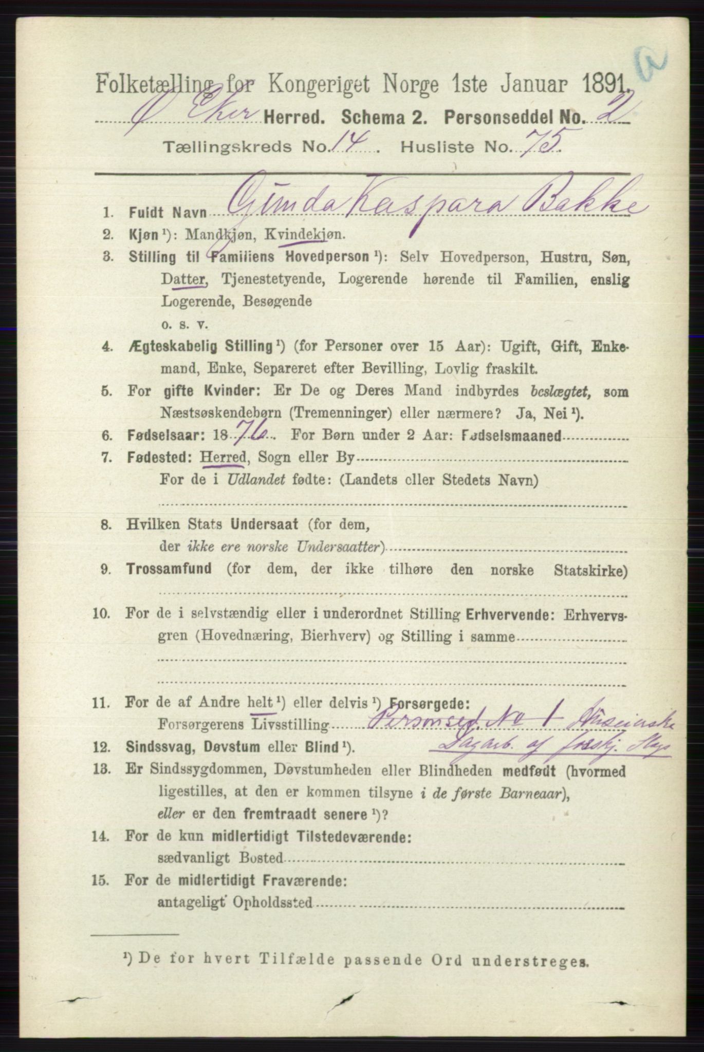 RA, 1891 census for 0624 Øvre Eiker, 1891, p. 6919